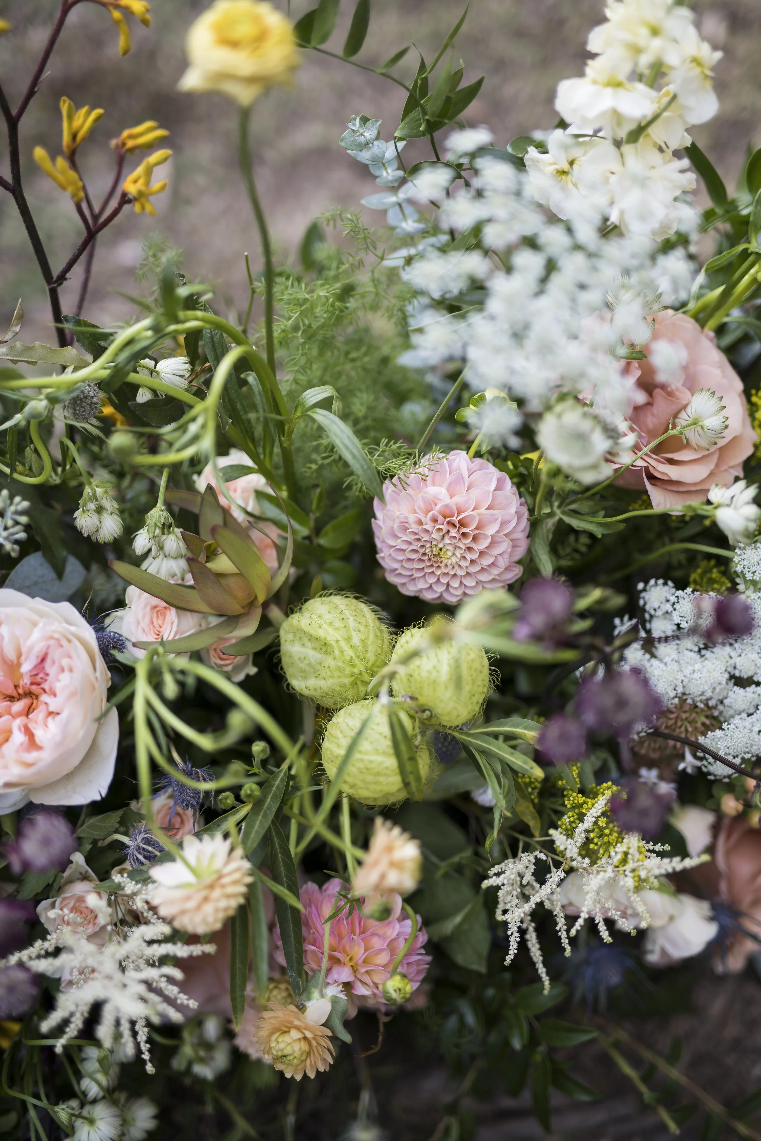 October 04, 2025175540.jpg