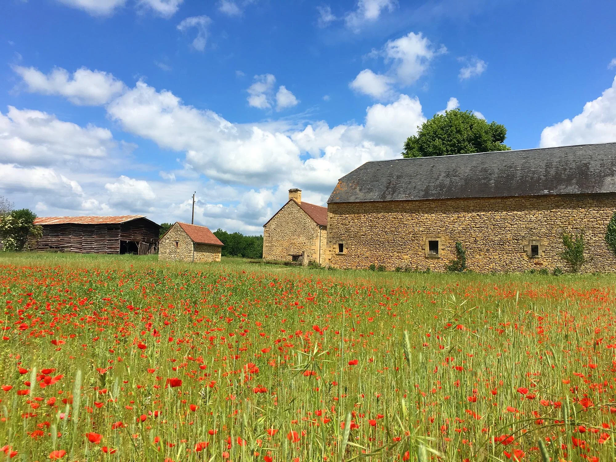 Dorddogne.JPG