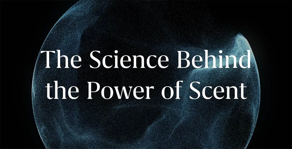 OVR-science-smell.jpg