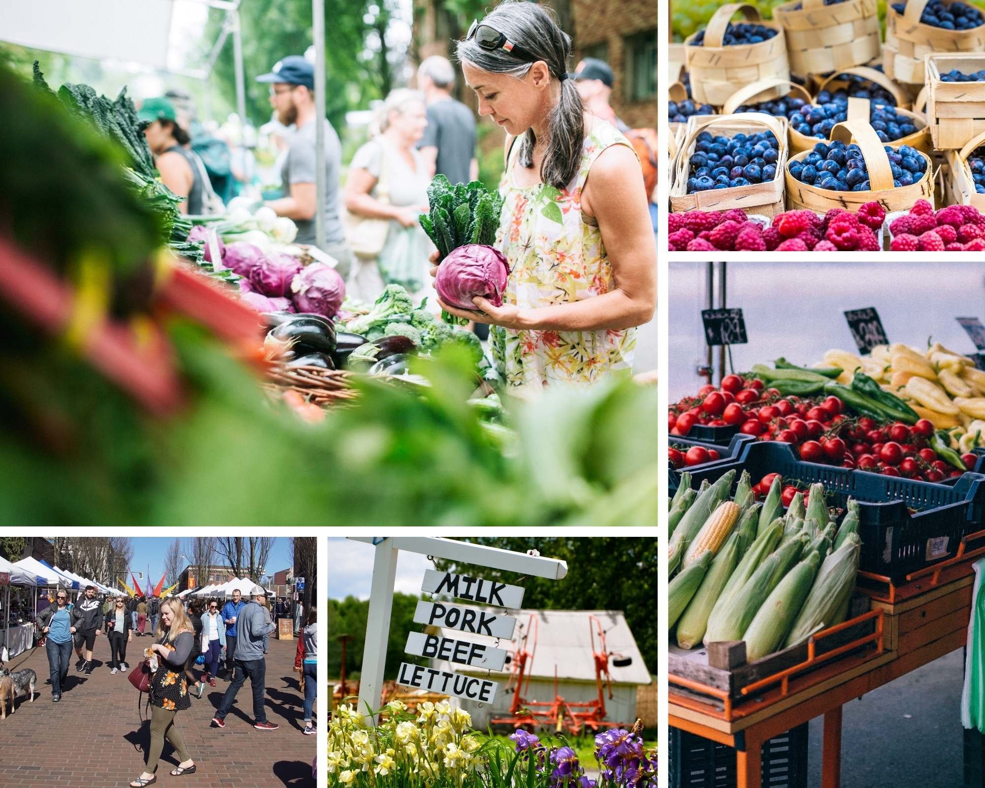 The 15 Best Farmer's Markets in Vermont — Wayfinder™