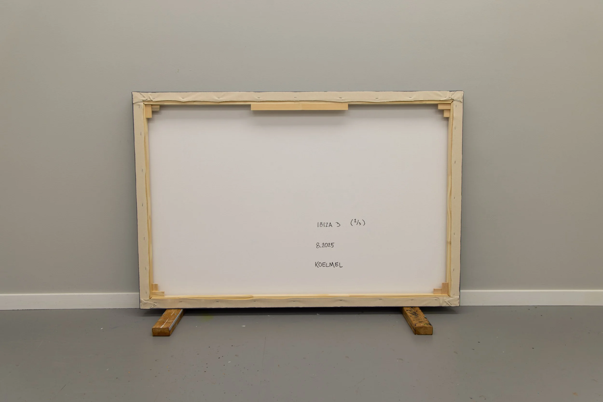 todd koelmel-Ibiza 3-Verso-Web.jpg