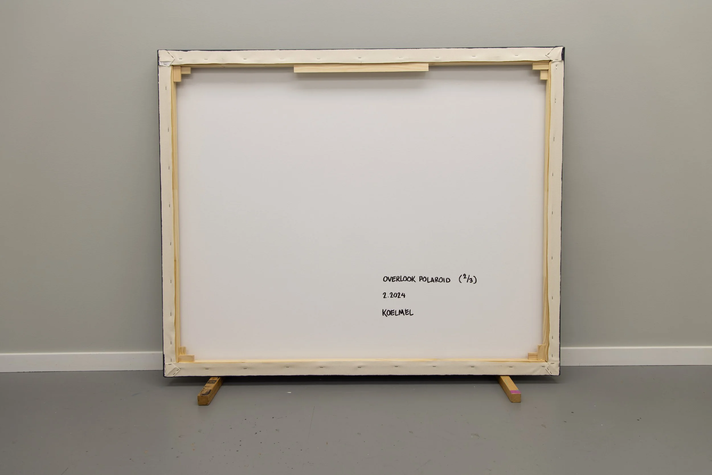 todd koelmel-Overlook 2 Polaroid-Verso-Web.jpg