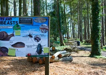Lightwater Valley Ripon 3.jpg
