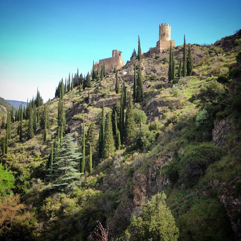 02-PleasuresofLanguedoc.jpg