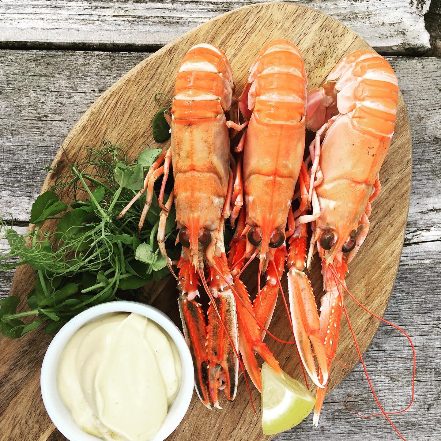 West coast langoustines &amp; garlic mayo. Amazing produce + served simply = the way it should be! #cheflife #kilchrenaninn #westcoast #goodfood