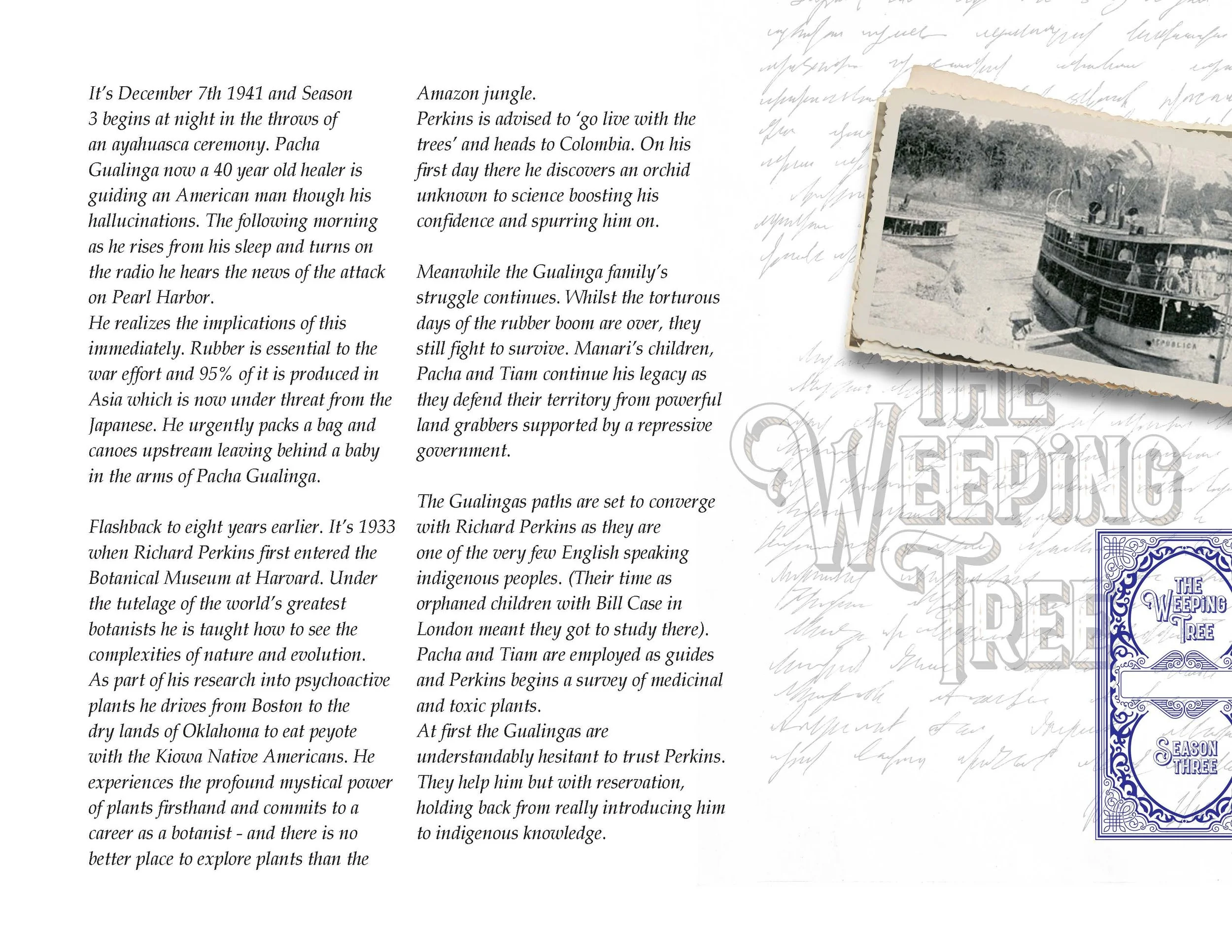 The Weeping Tree_Page_12.jpg
