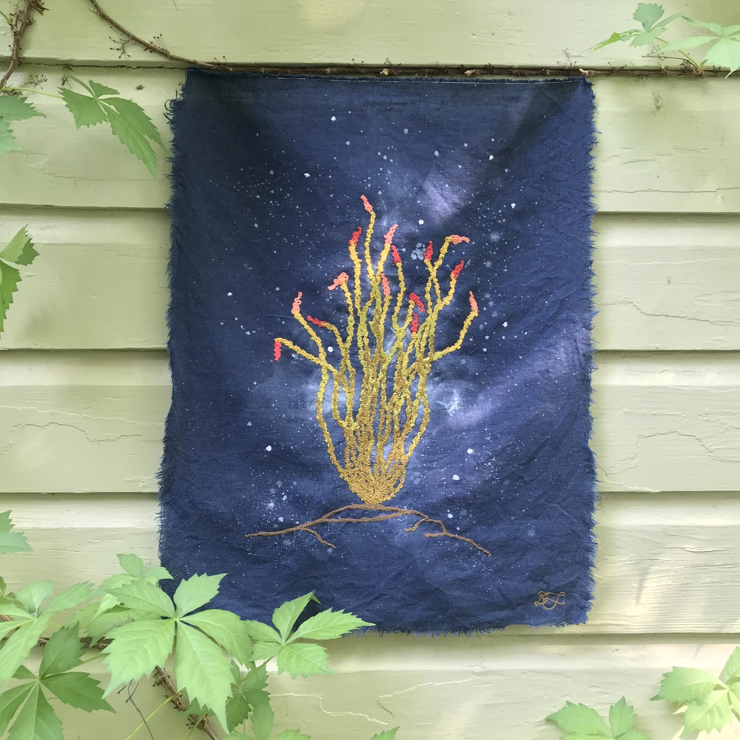 STITCH SKETCH: Midnight Ocotillo