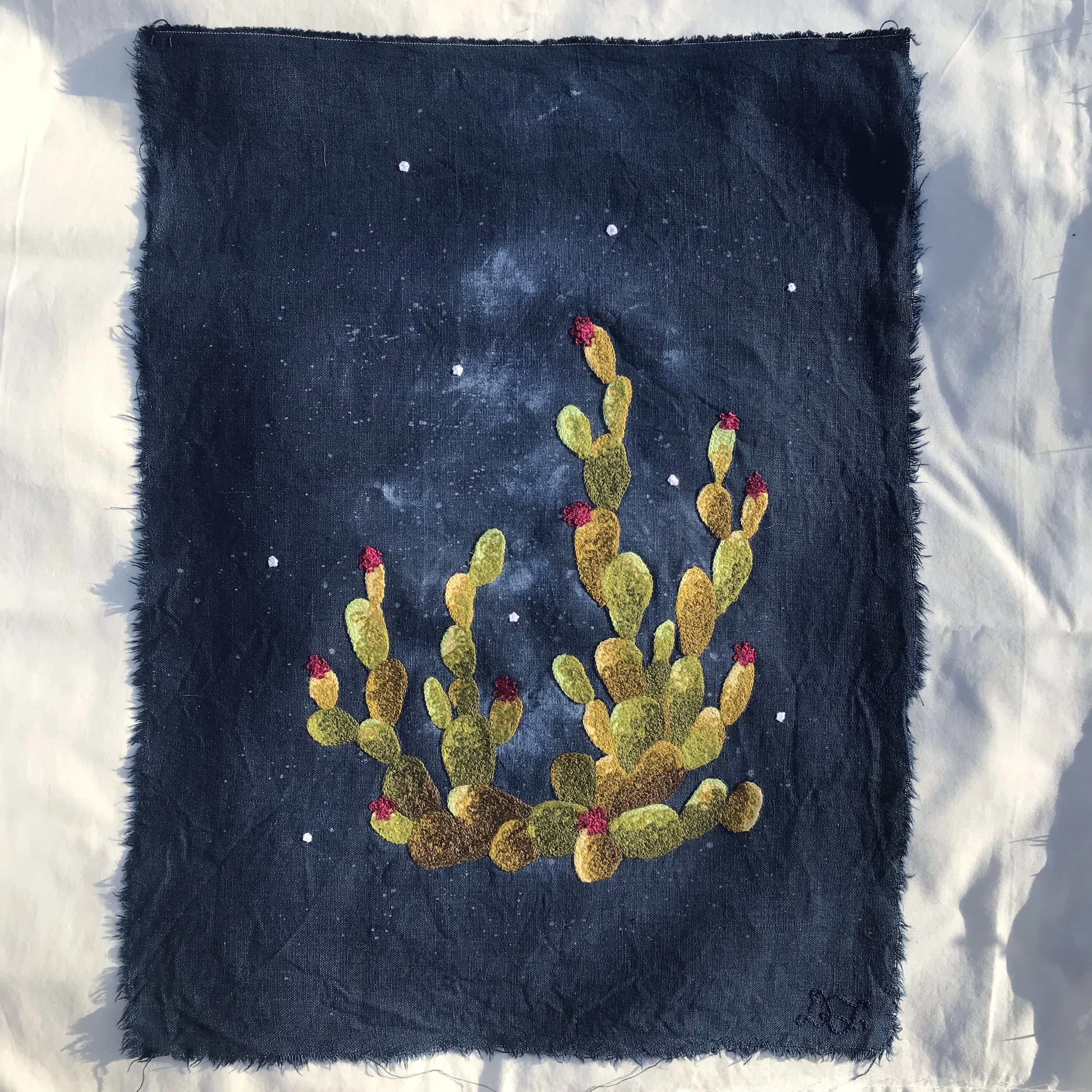 STITCH SKETCH: Midnight Prickly Pear