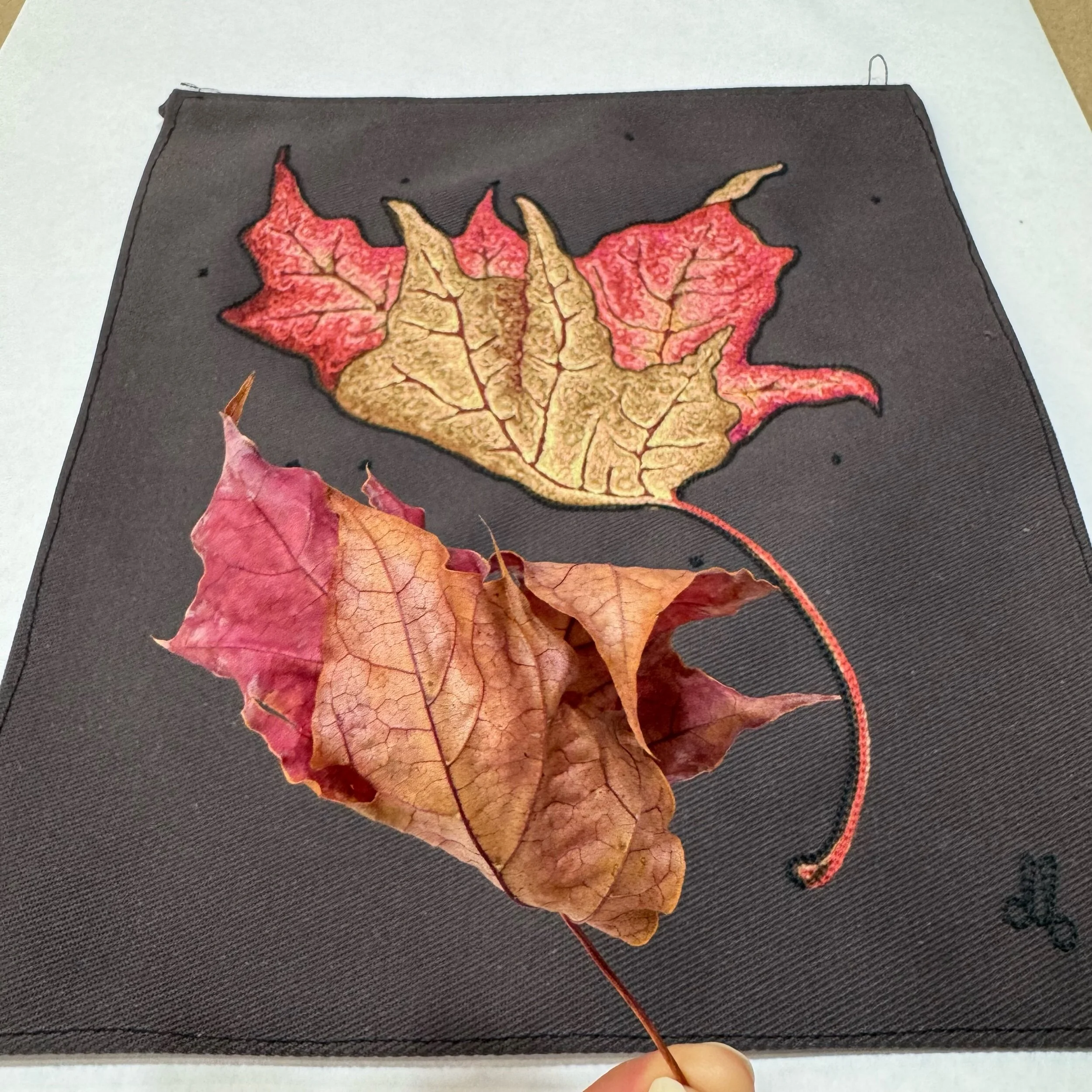 BE5CD3D2-5D73-4DD9-97FA-AFE15547AC39