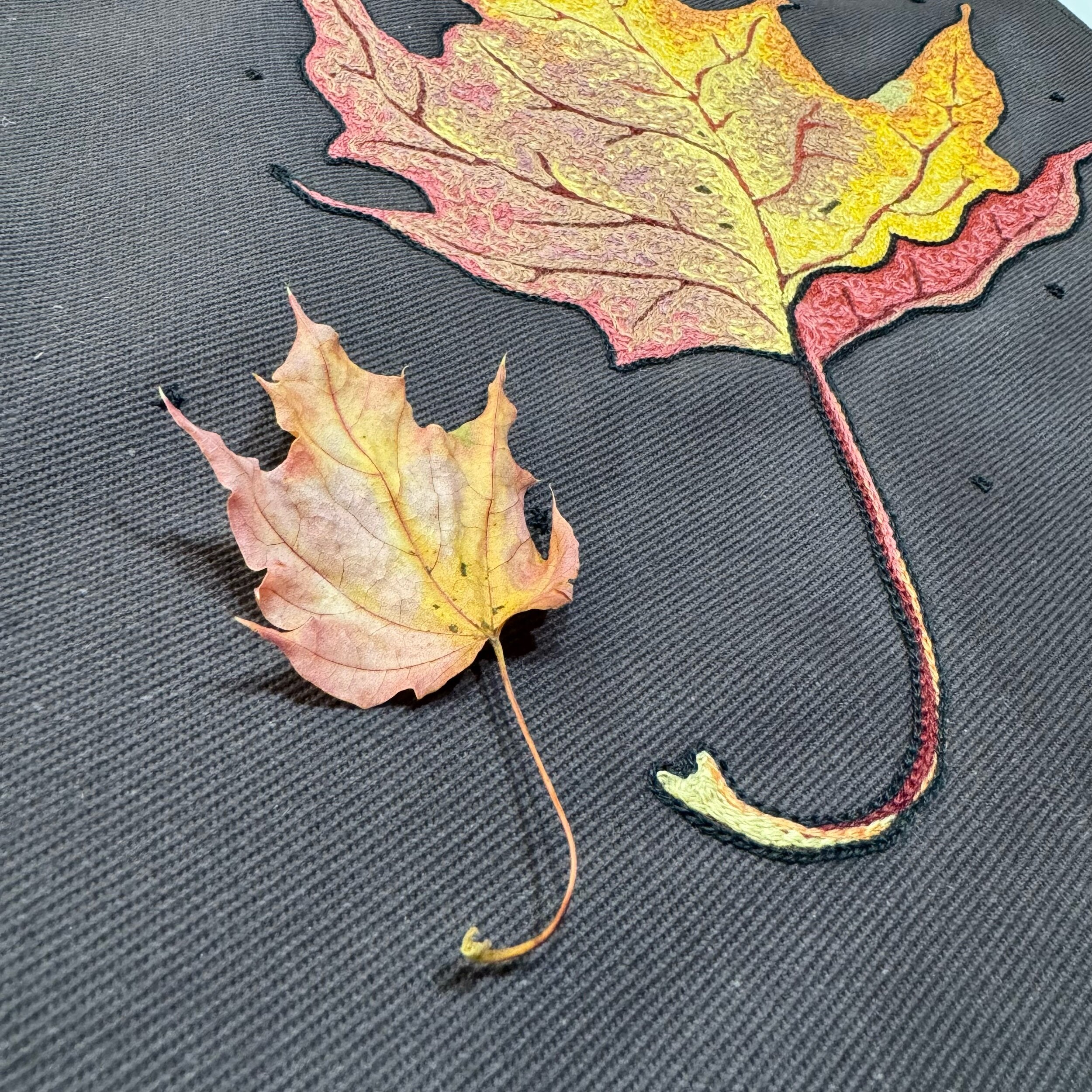 300ED7CC-AA60-4DAE-9B45-1855F8206A3F