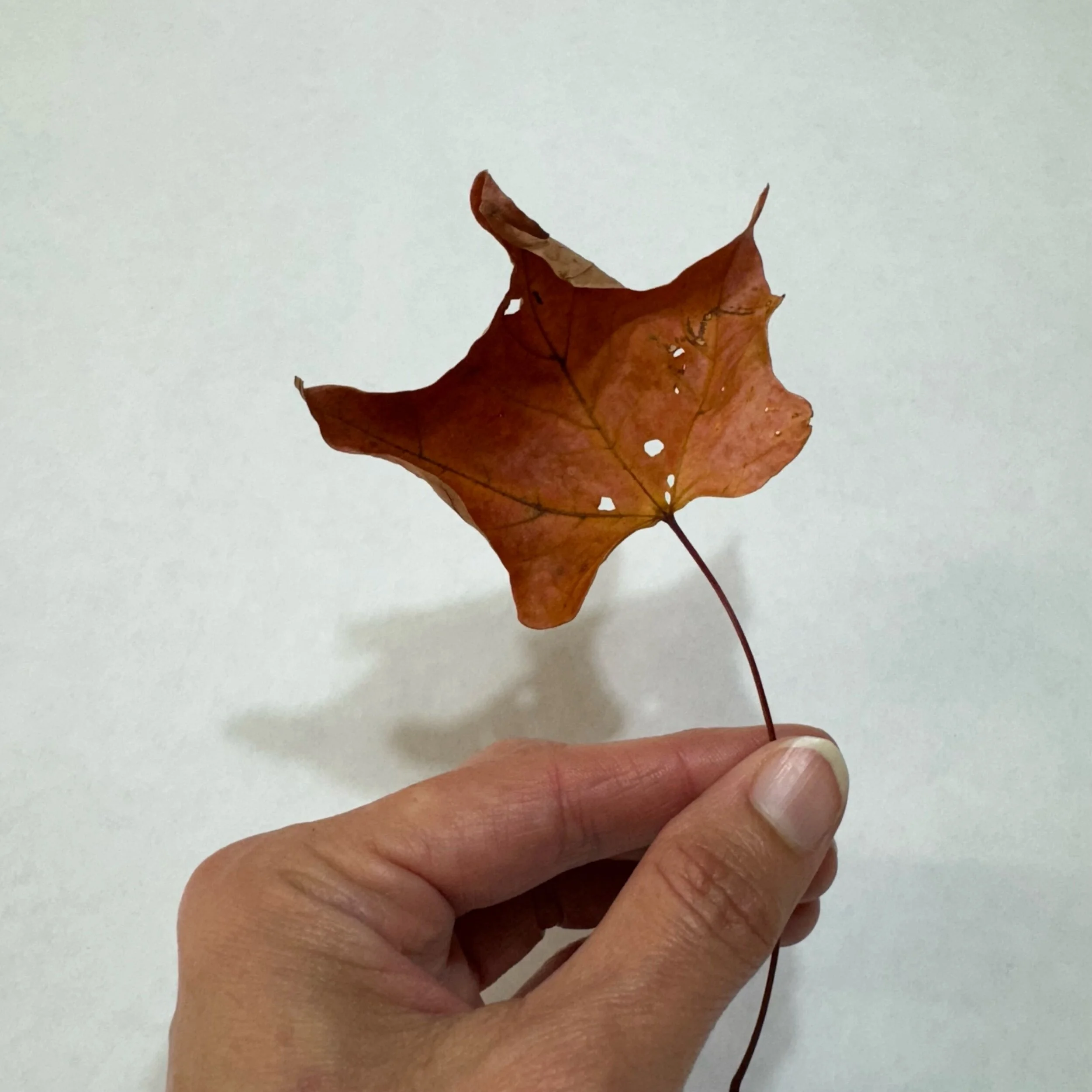 765D9534-3BCC-40CE-B8F9-DA7757E444CA