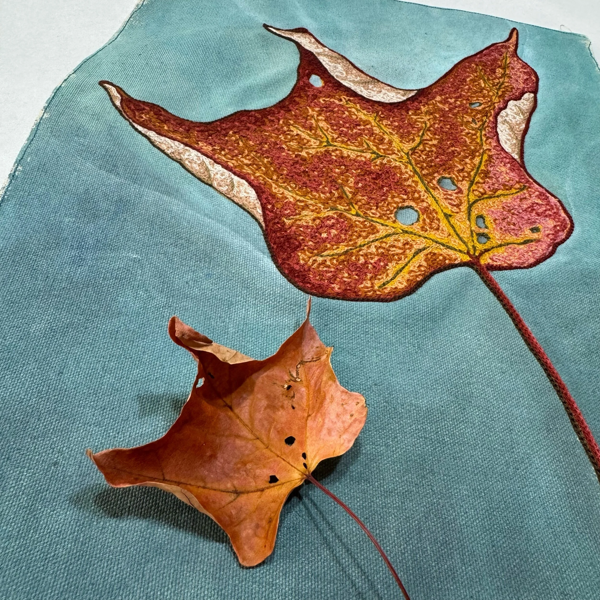 AD101308-B26E-4C0F-9E5A-A8AF6838F918