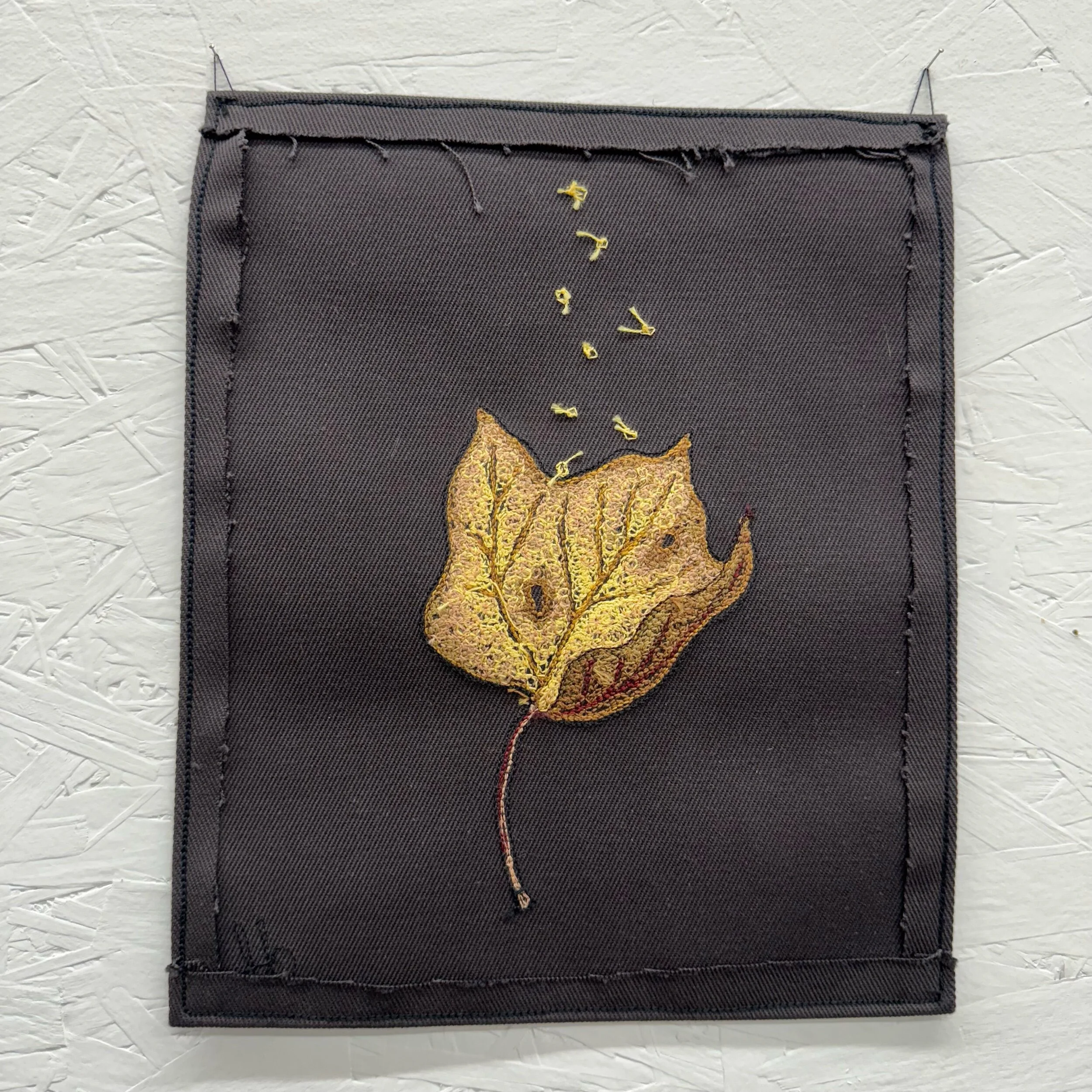 86D04385-48FF-41FE-8B4B-51D6317AF232