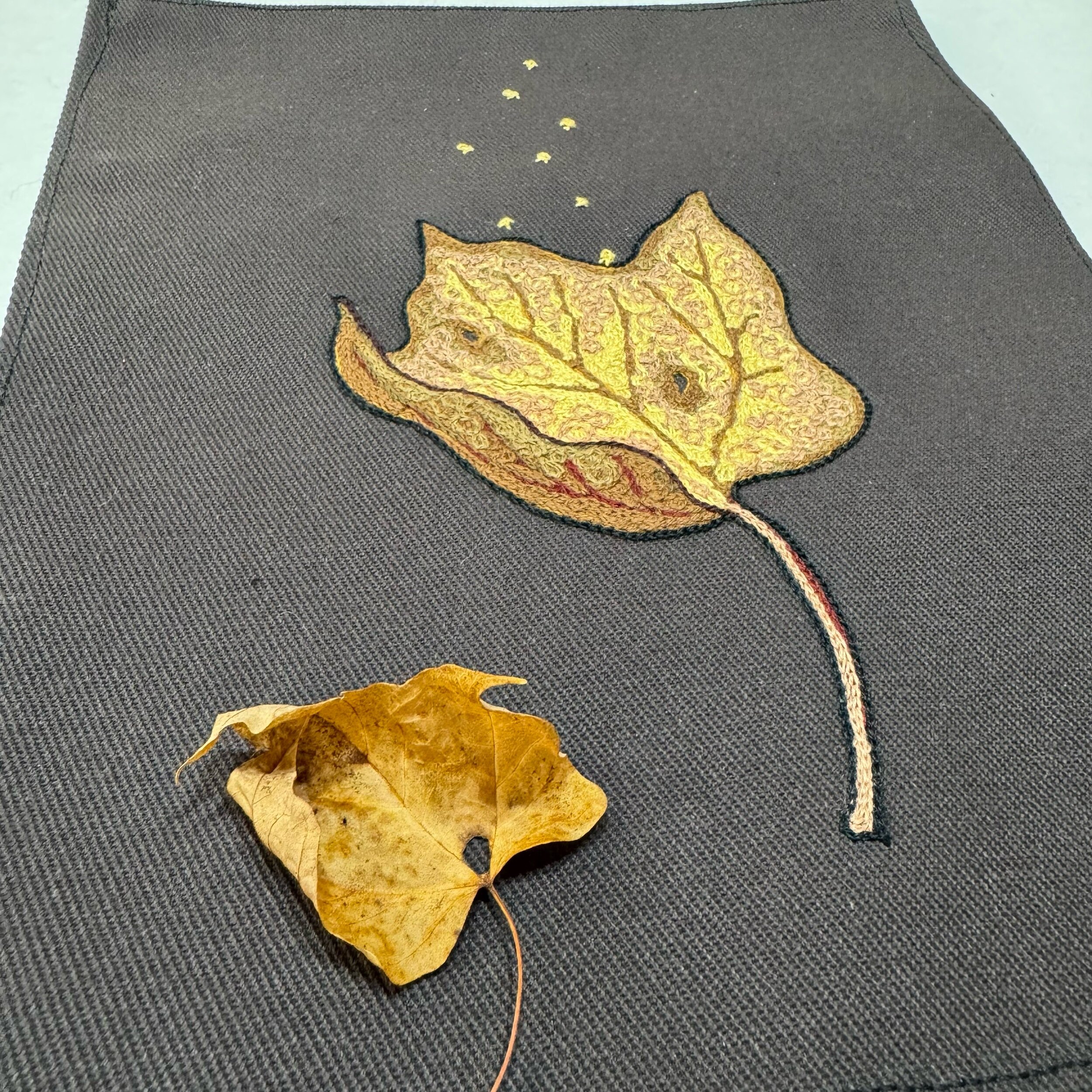 26F24265-AC0D-412C-8184-BB3F9232B030