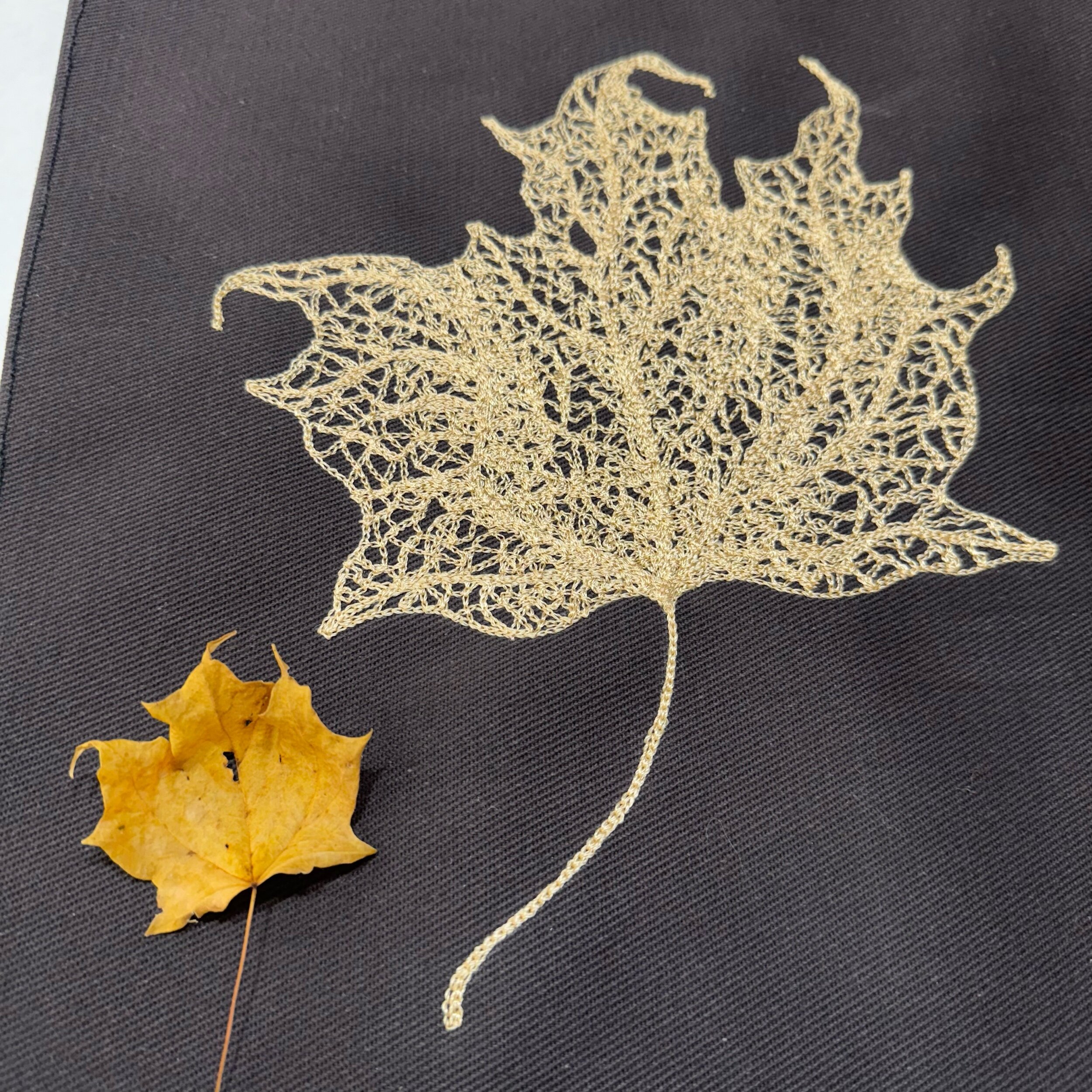 9C038AAA-422F-4BA5-AF41-D5A6E11964ED