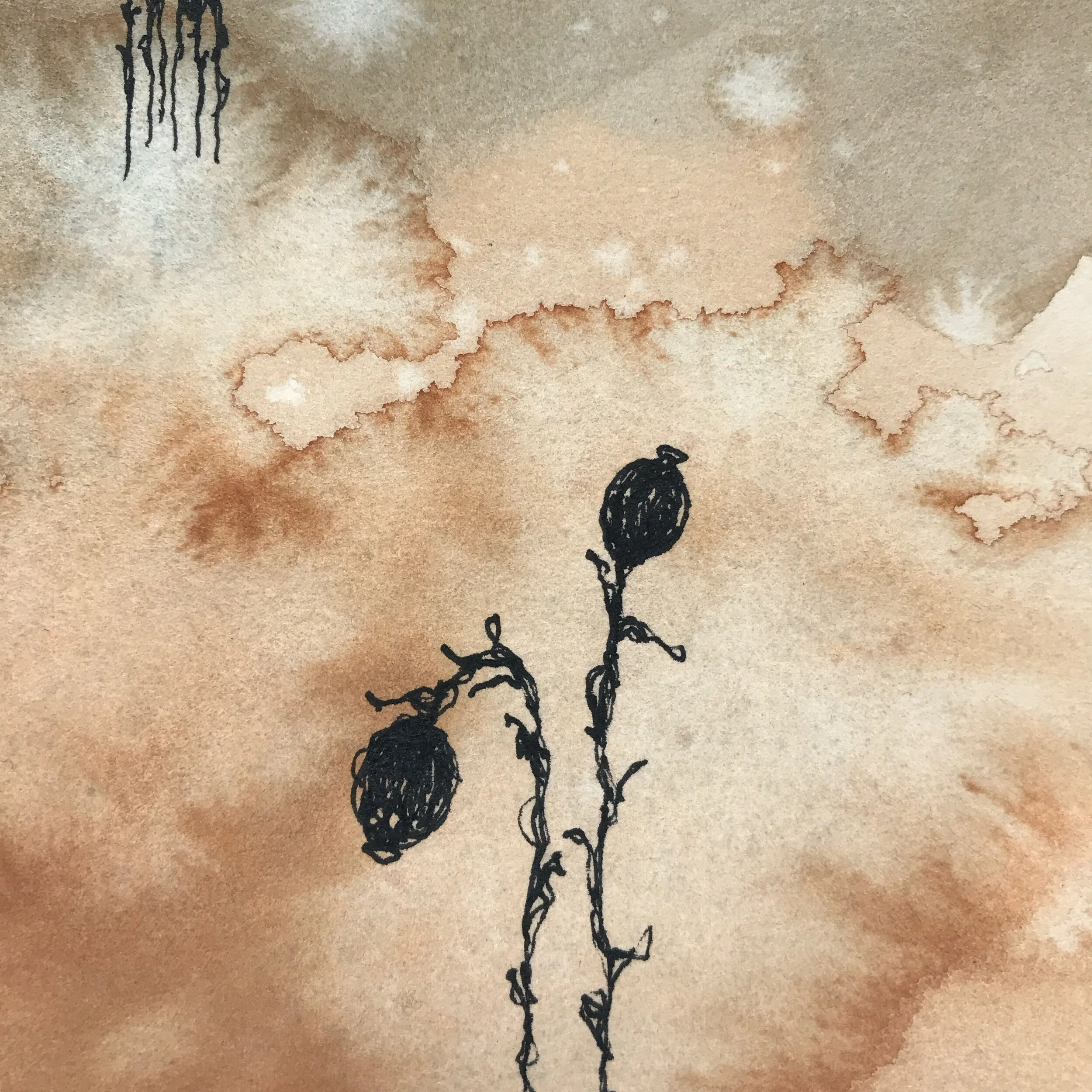 5F7B0ACF-76F2-466A-8E2C-64F65393500E