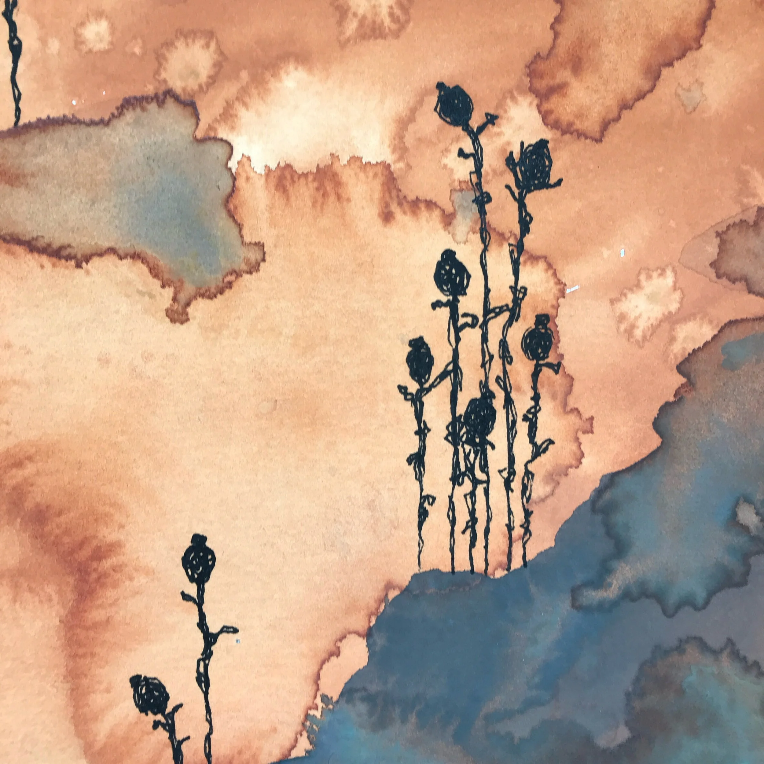 E4E35516-8CEB-41B3-8DF6-15143F87502B