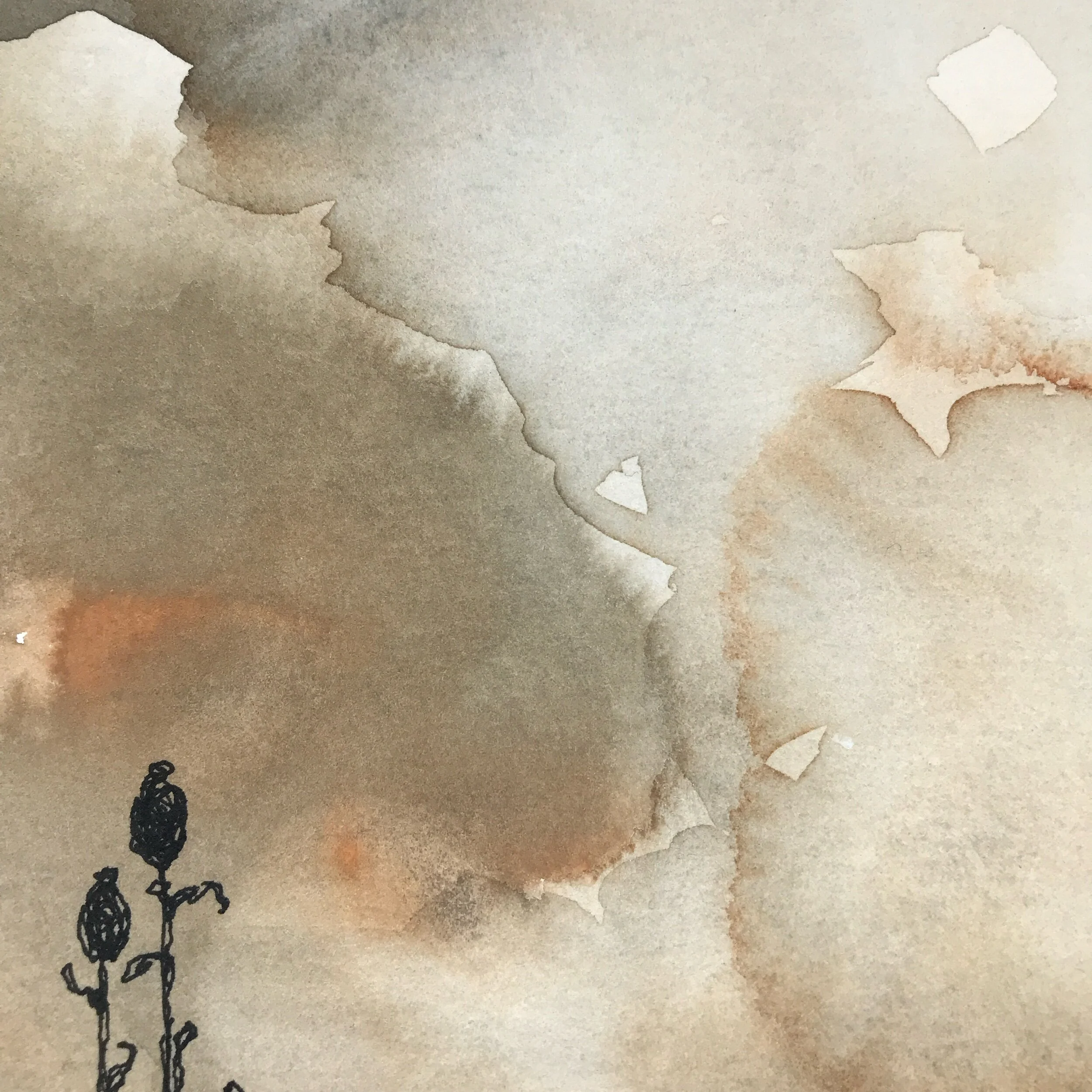 9BEA2818-1D88-4292-B6A9-968C481DFC80