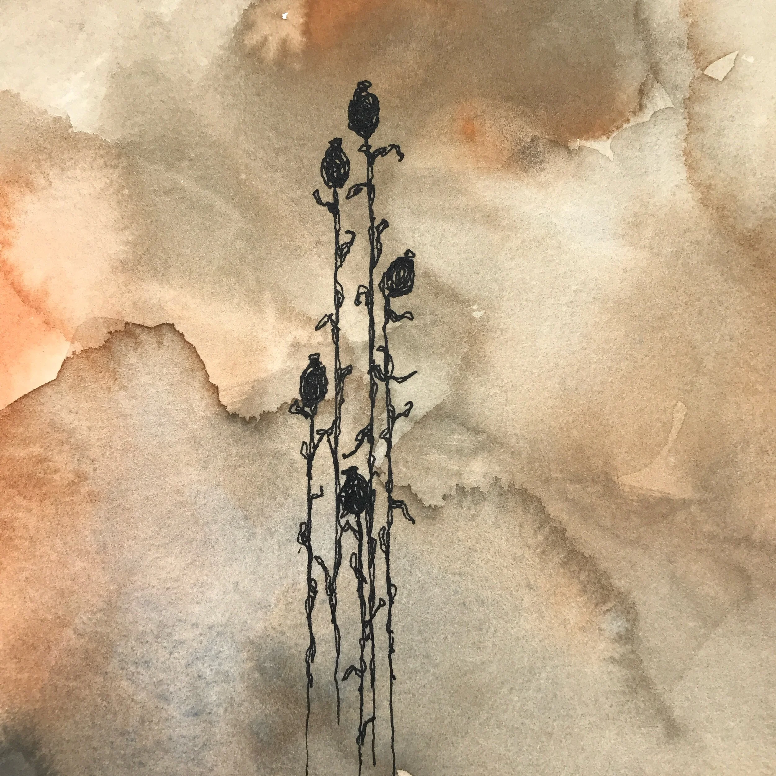 85E7CEBC-28D1-4C53-8344-8342FAB275D4