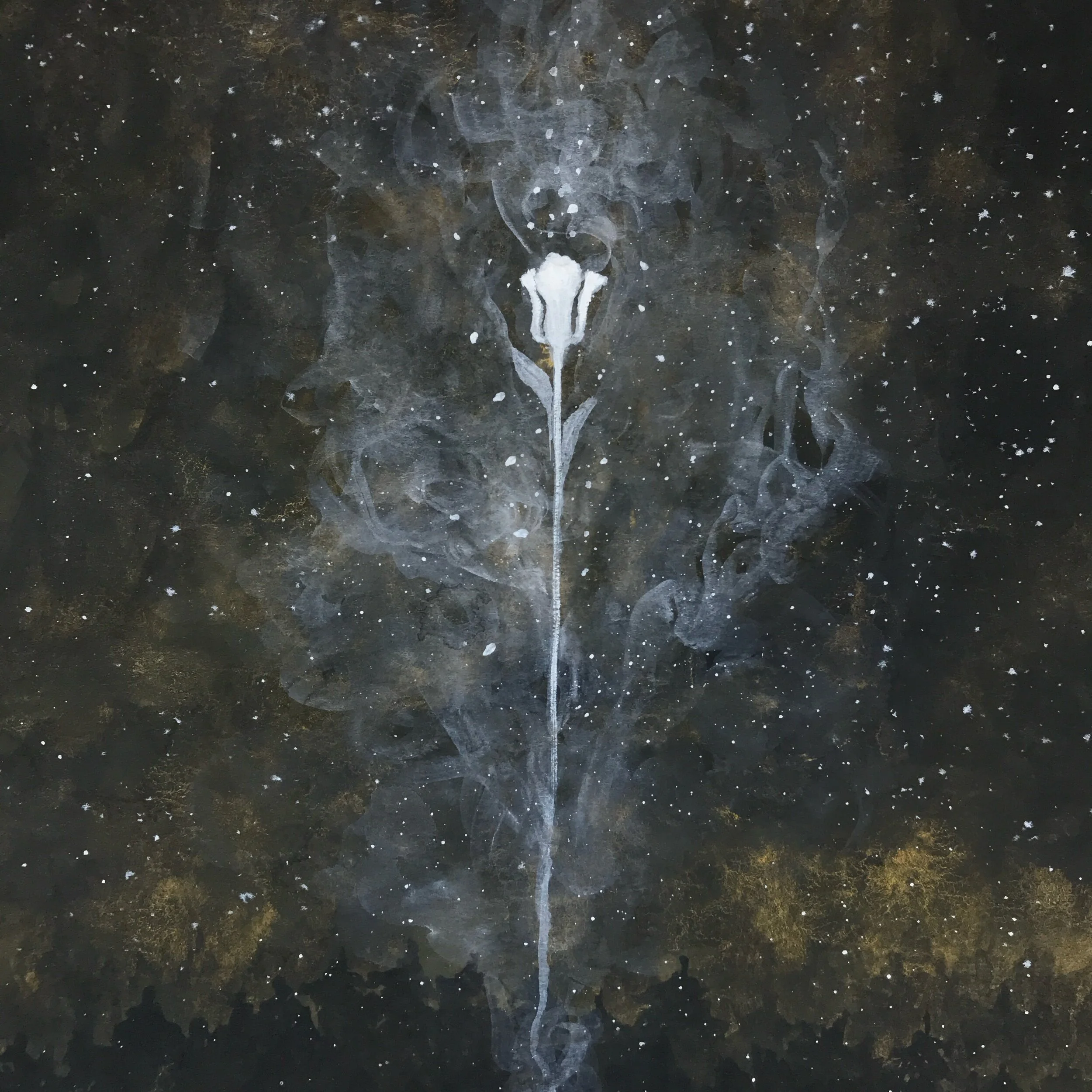 173AC59B-741B-4A94-9758-A7DF50671AF1