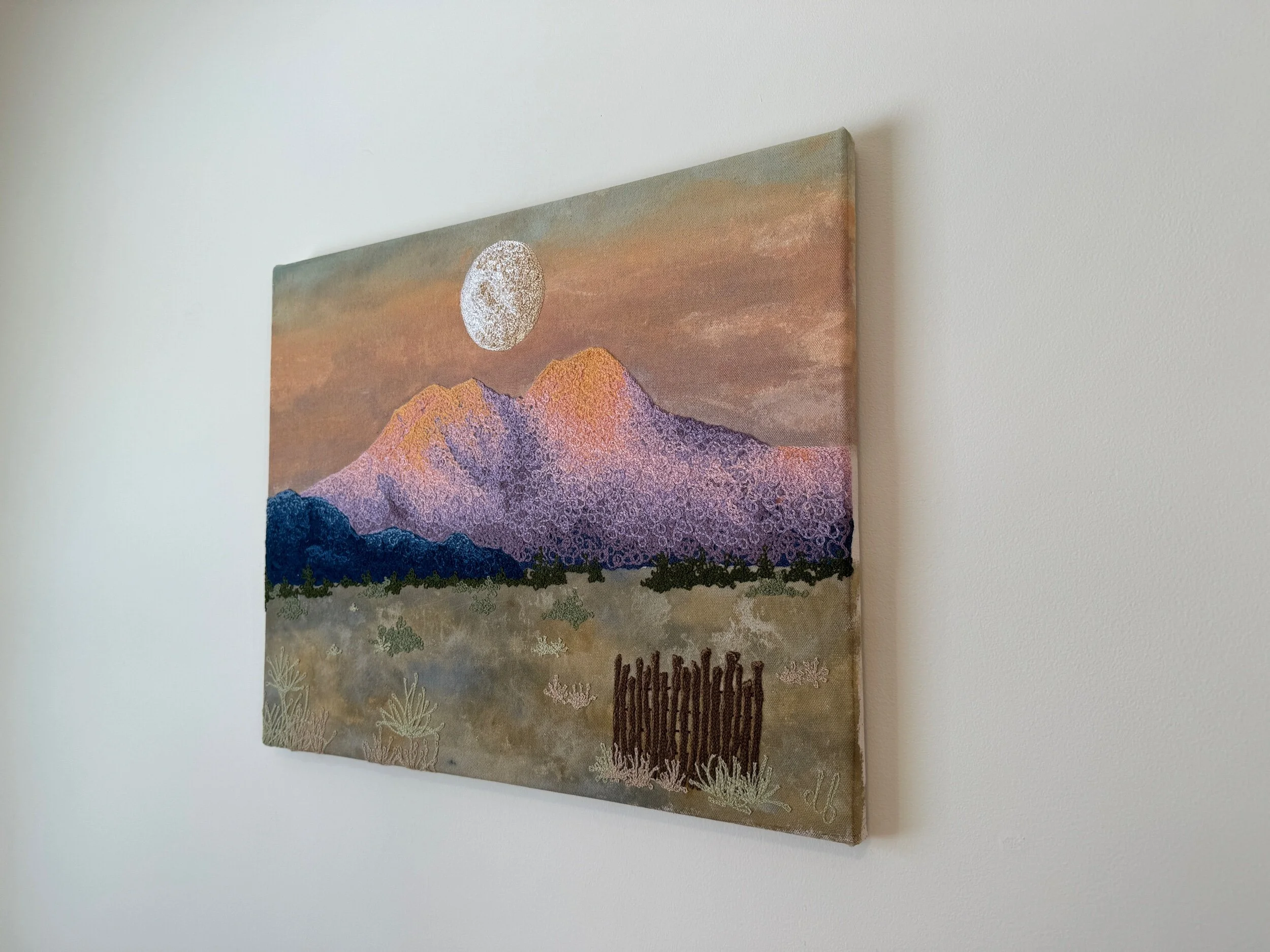 3B714549-790A-4847-9A35-000D65AC859E