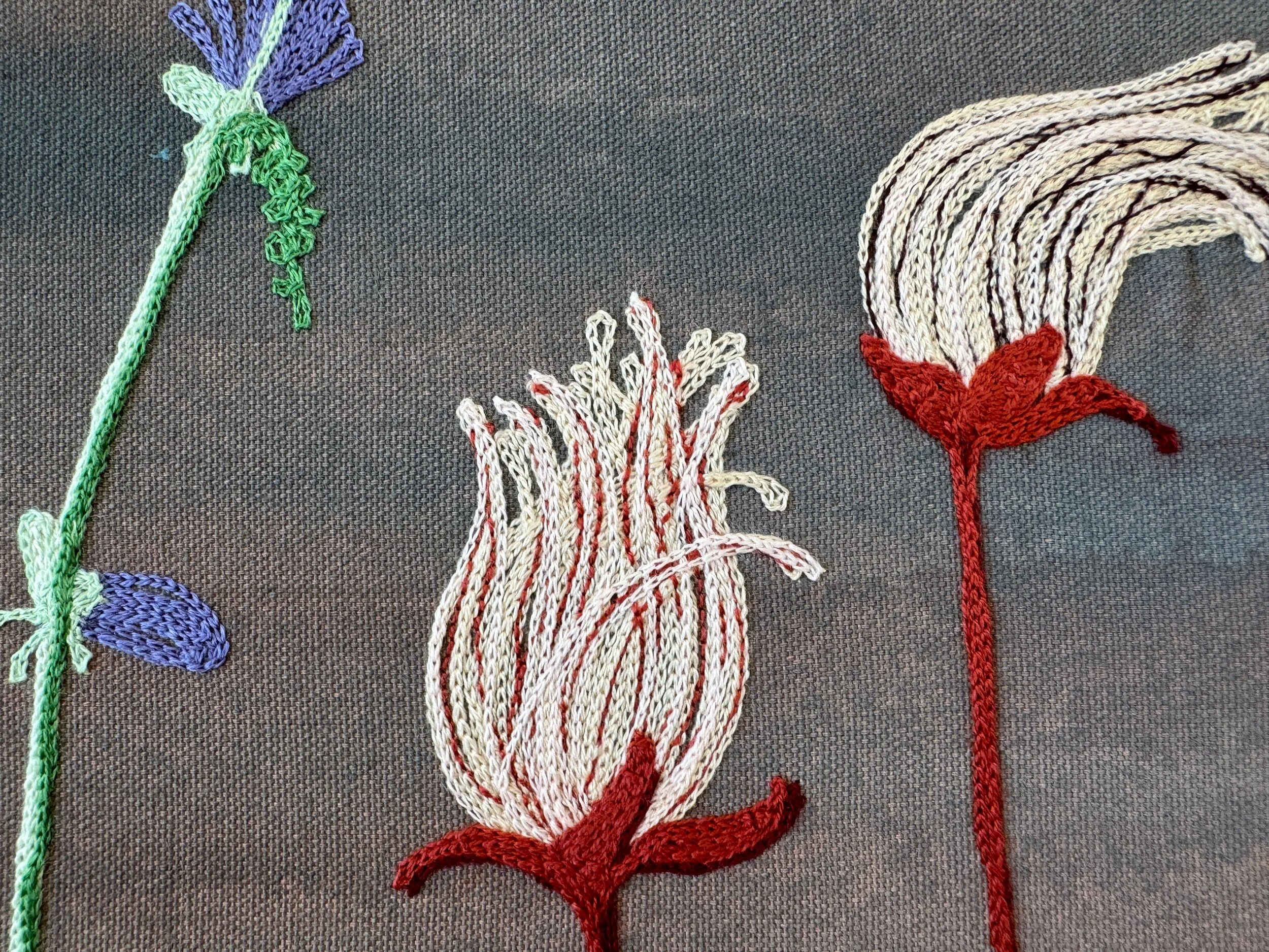 9BFF59F8-F926-4E09-9EC1-64473BD14C0A