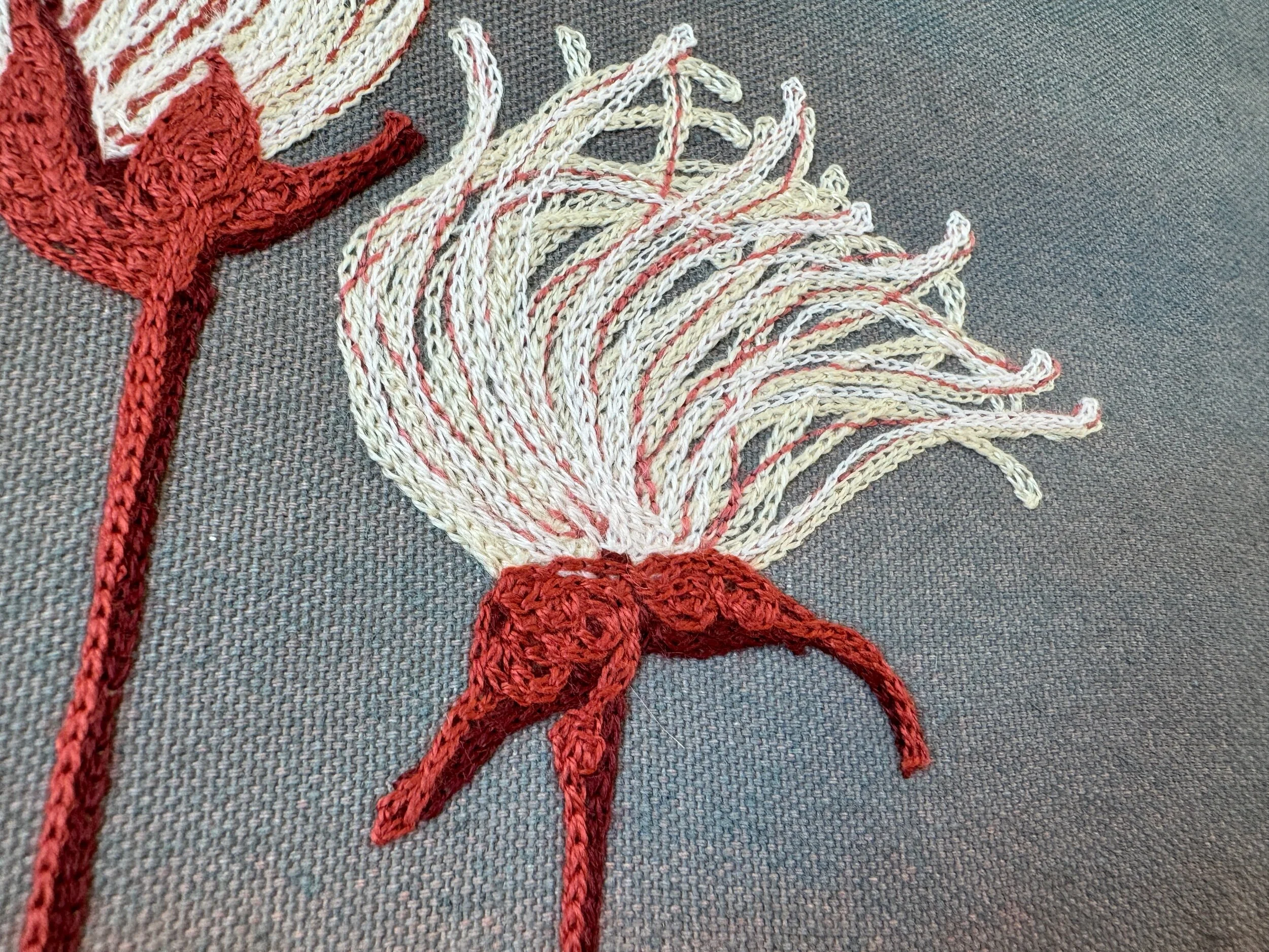 46698902-F451-471C-AA5F-577C646C43A7