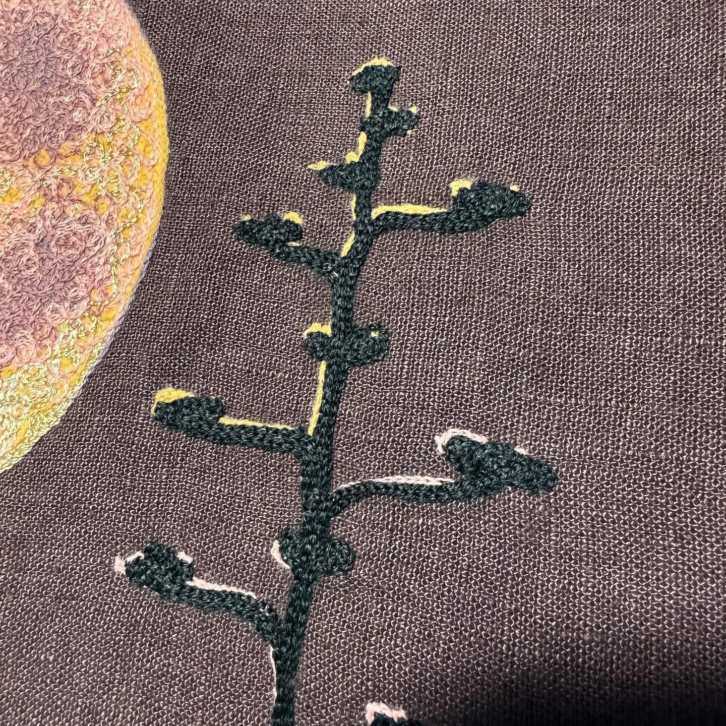 6B5AA8E3-03A5-48A2-A246-DFDCE8CEB66E