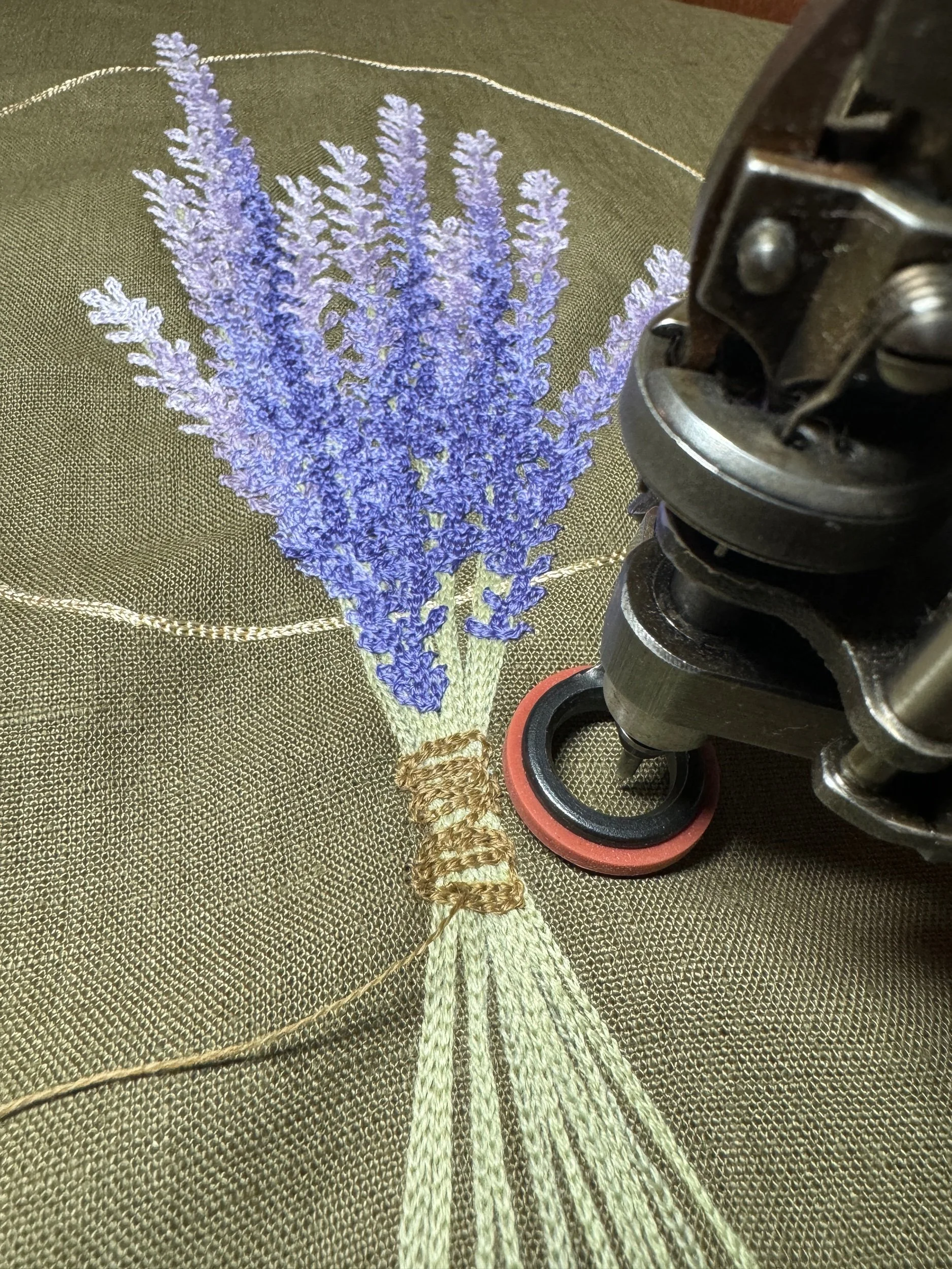 5FEDED74-6576-415B-88C8-376BD009A56A