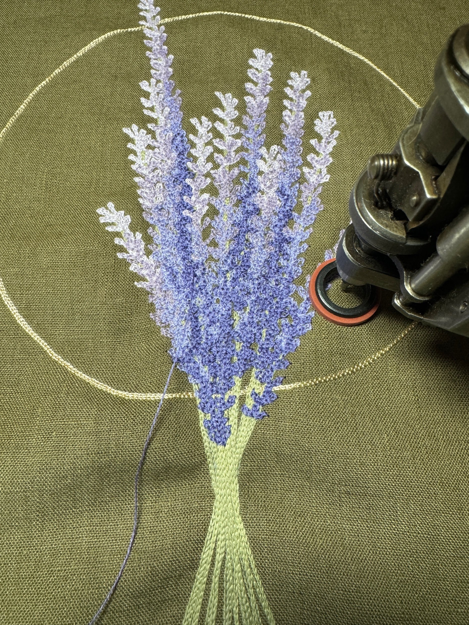 256CA6AB-6F2D-45E1-ADC5-D8F8F7A1578C