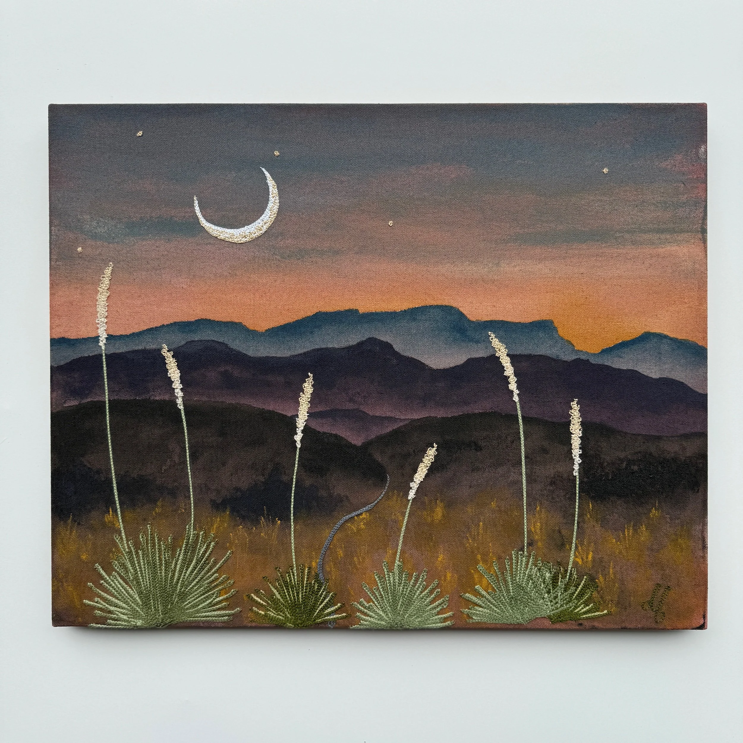 4679F537-6C16-48D2-B386-49A4866C3E2F