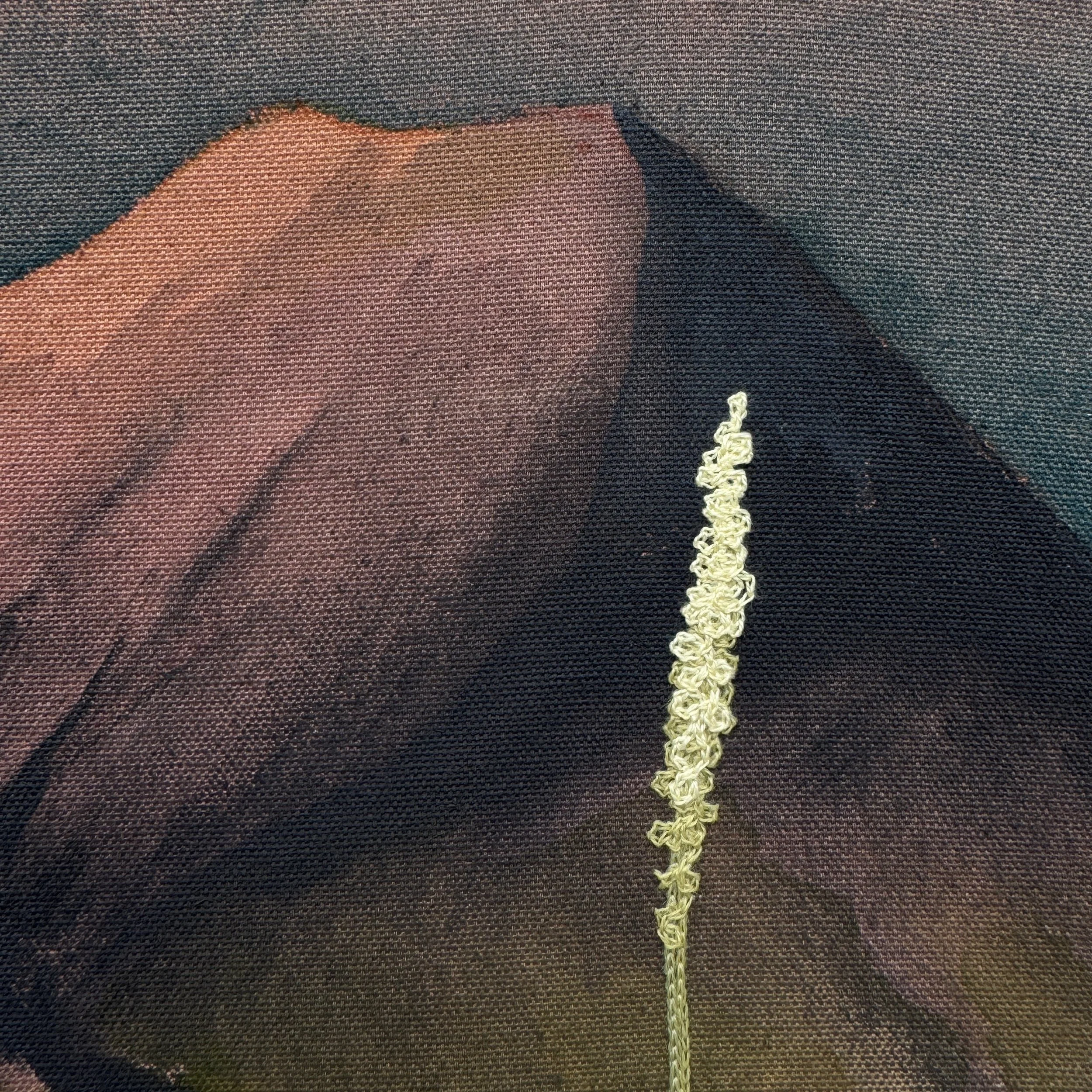 1E2F861D-E1DA-4048-8597-7E94815D6EDF