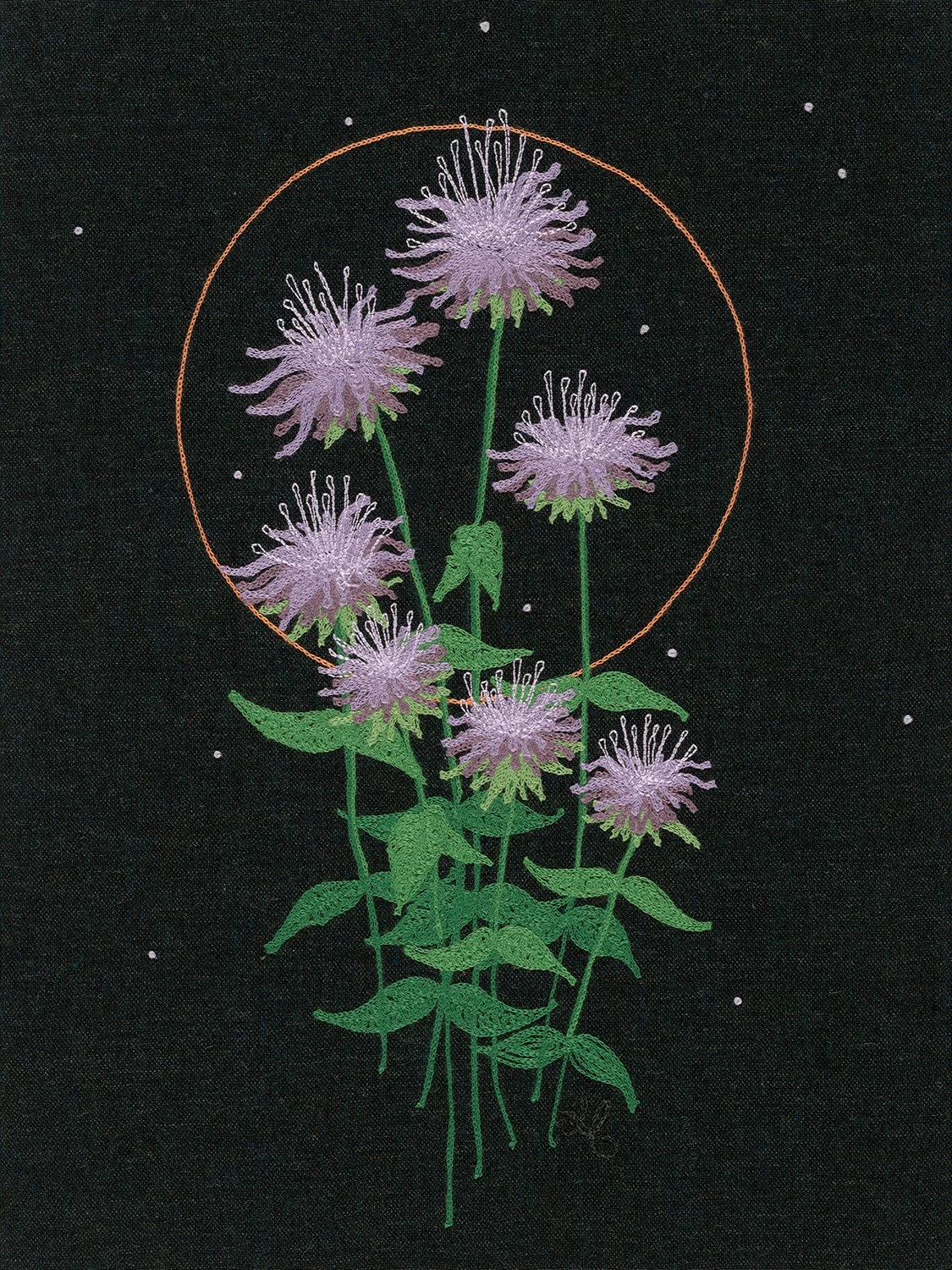 Bee Balm.jpg