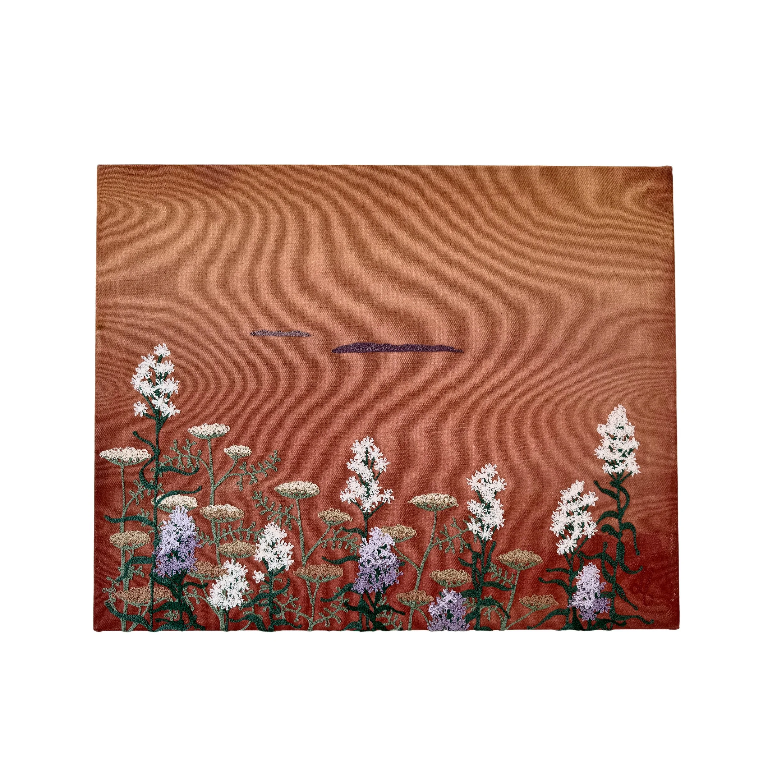 aster yarrow white bg.jpg