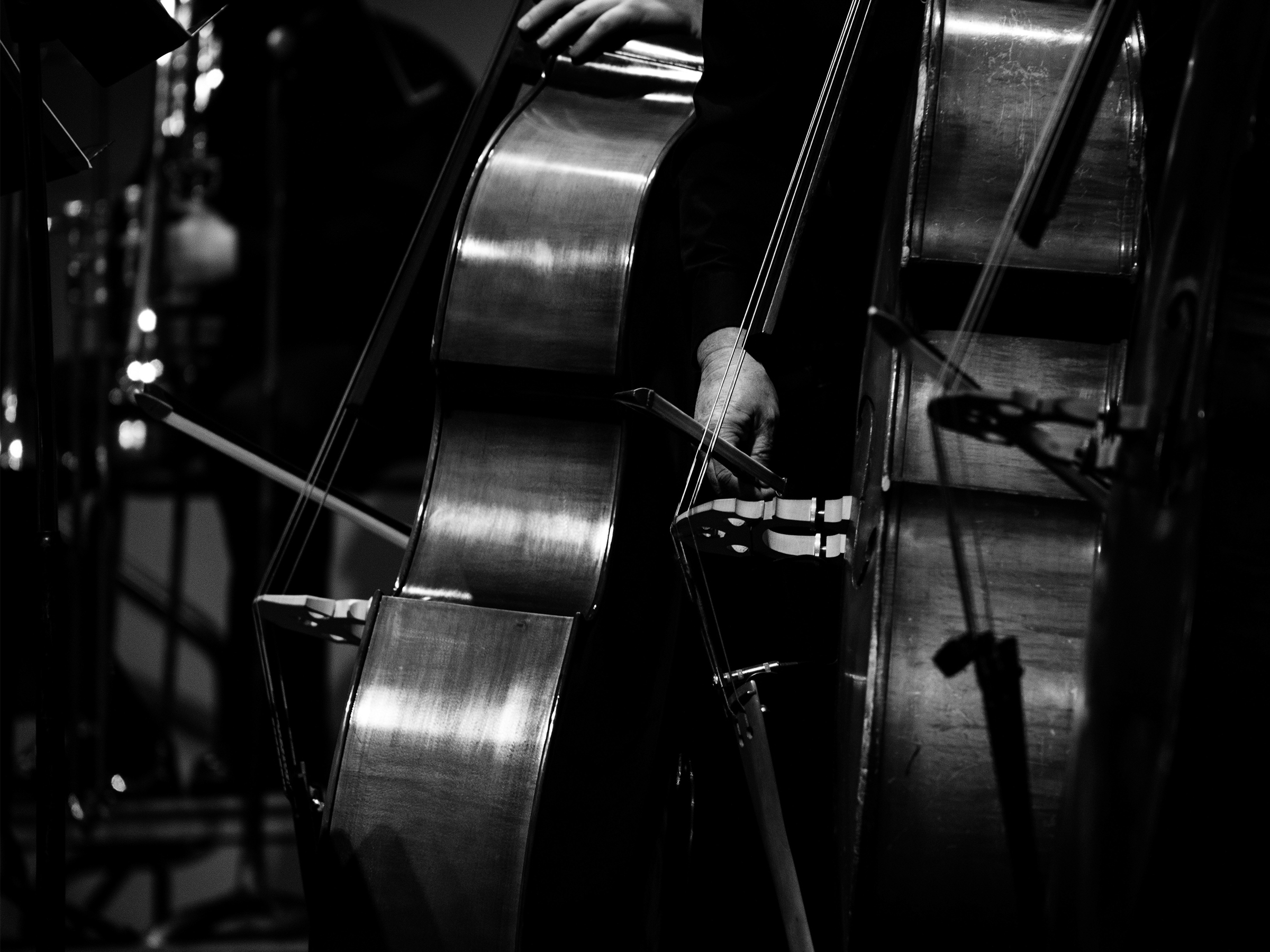 Concert-BKG_Chello.jpg