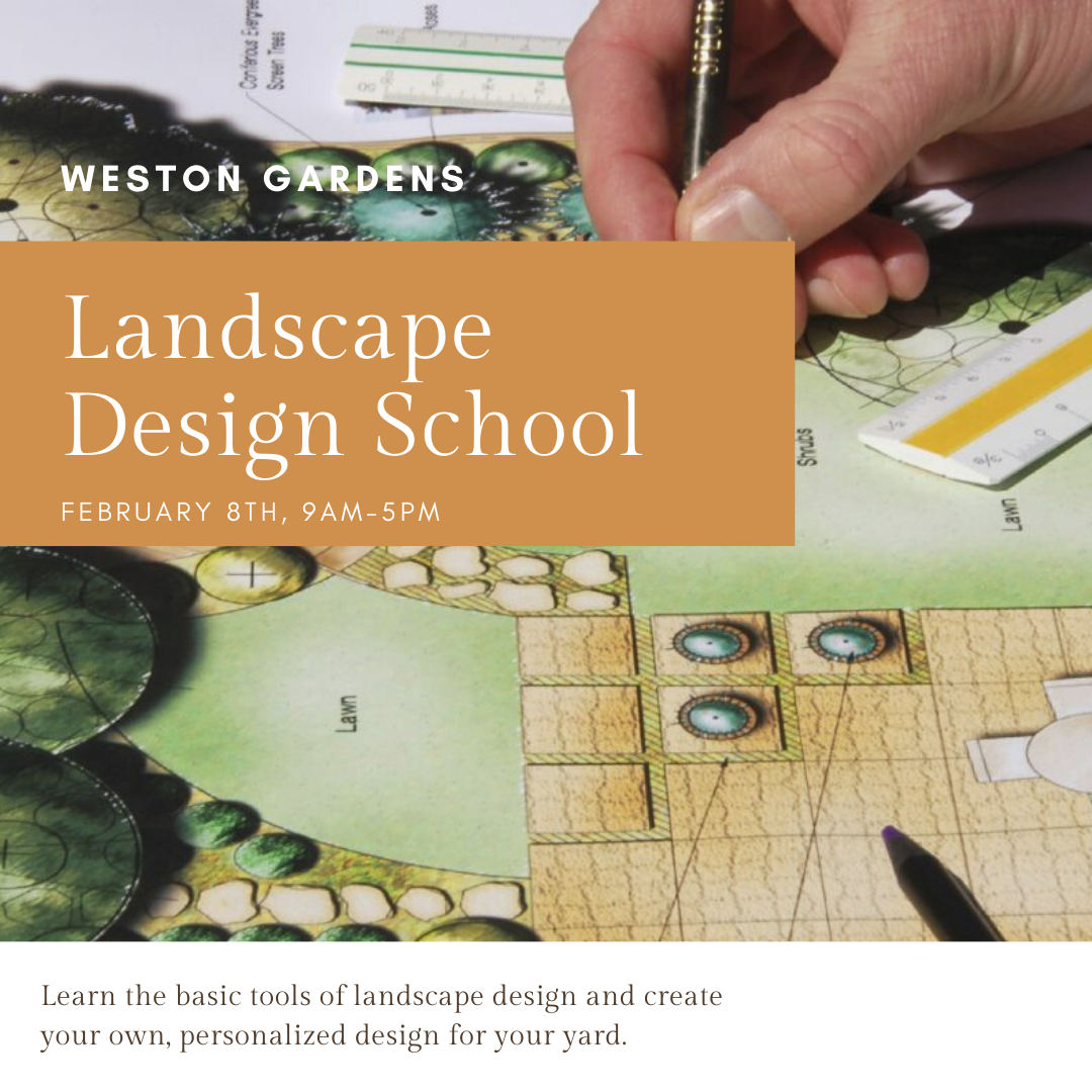 Landscape Design School Workshop at Weston Gardens — Weston Gardens, image size:1080x1080