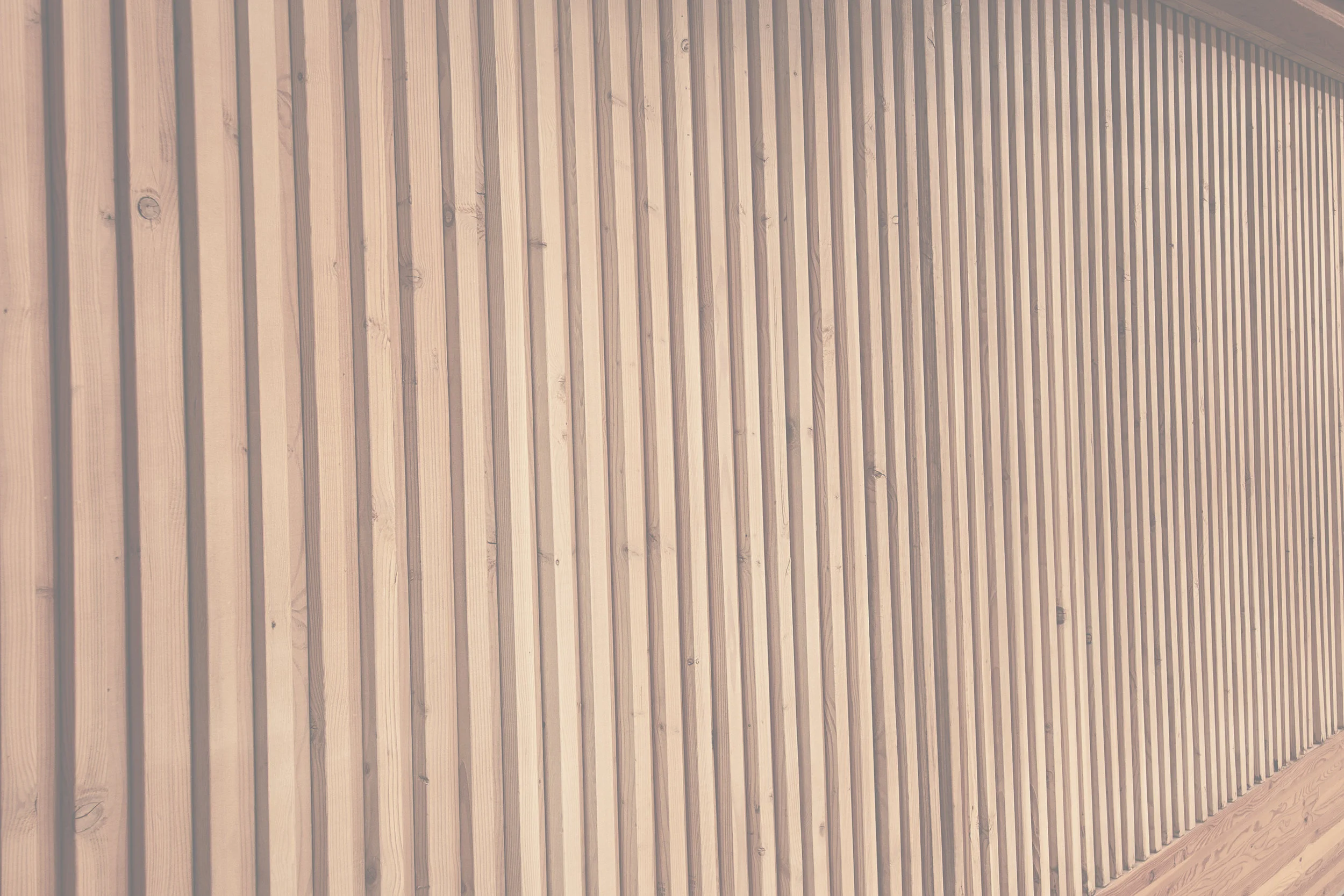 _DSC2510-Edit copy.JPG