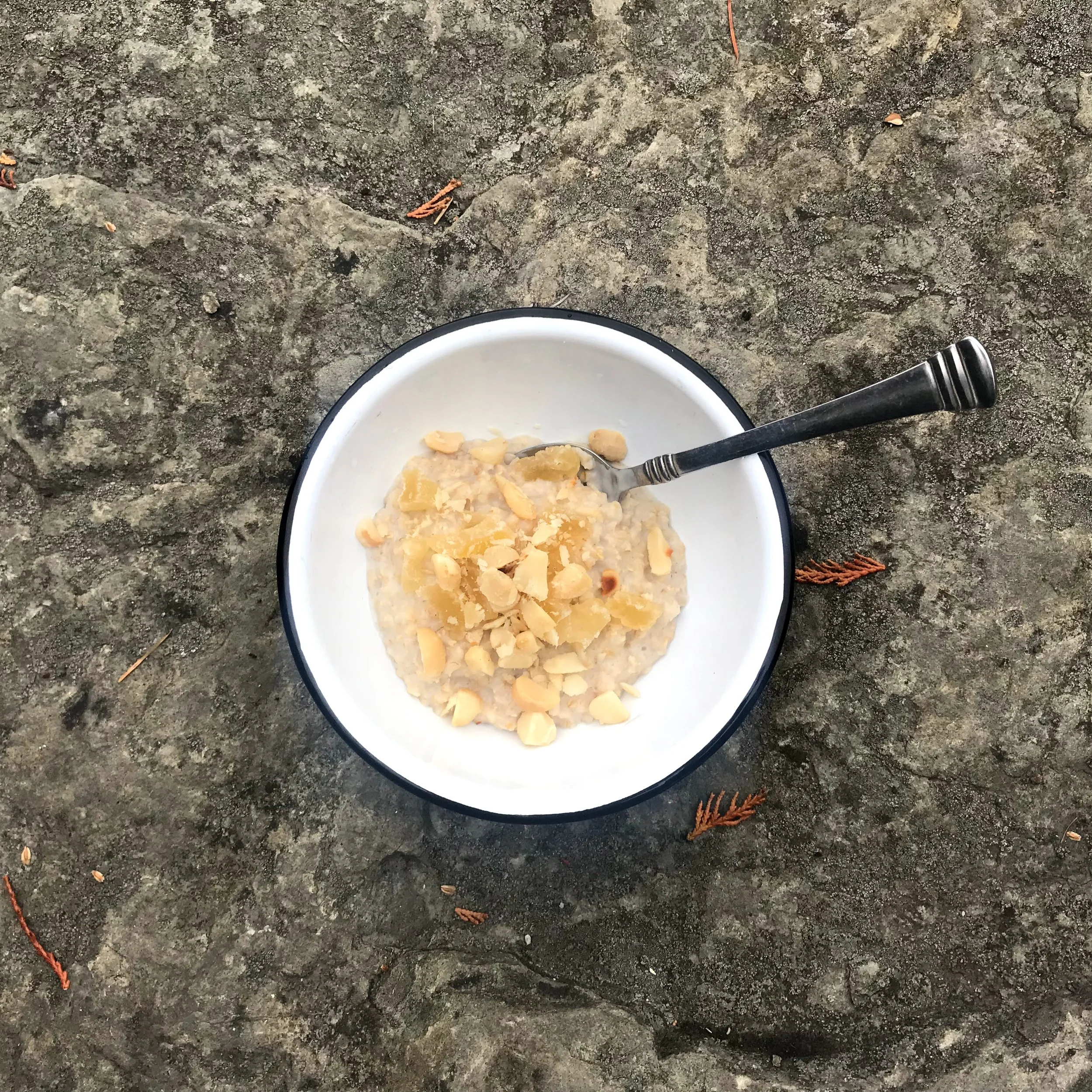 COCONUT, PINEAPPLE, MACADAMIA NUT OATMEAL