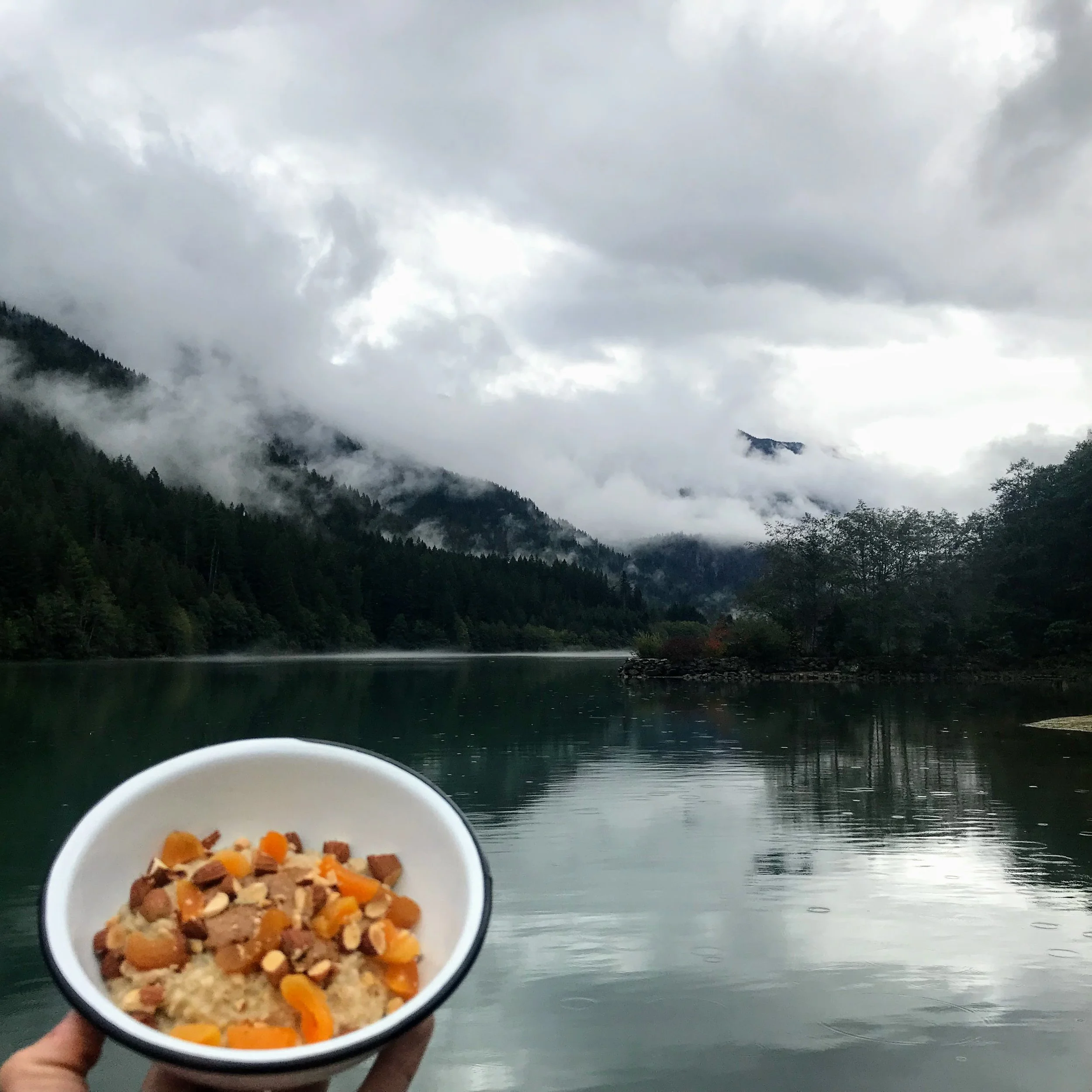 AAALMOND, APRICOT OATMEAL
