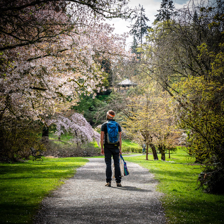 Mont+y+Boca+-+Sattva+Photo+-+Seattle+2019_DSC4692.jpg