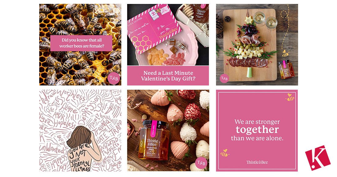 Instagram graphics created for Thistle &amp; Bee