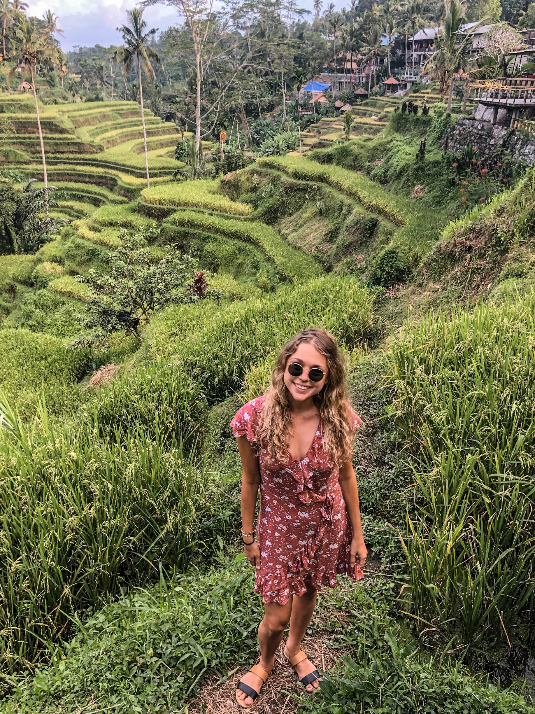 Gabby in the rice fields