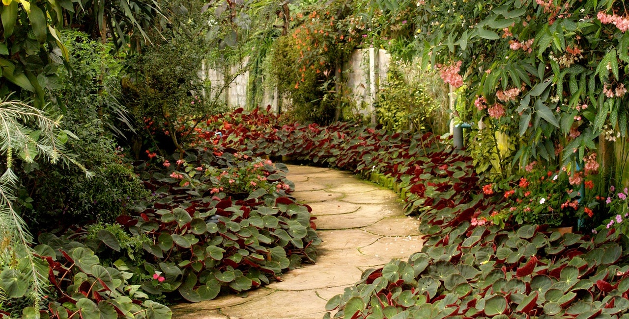garden+5.jpg