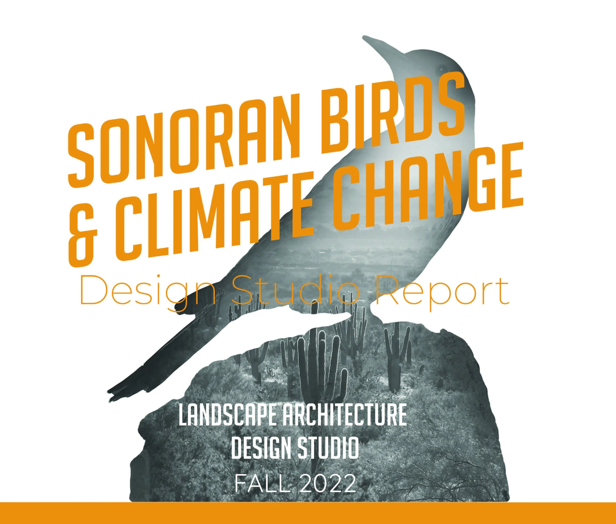 Sonoran Birds & Climate Change