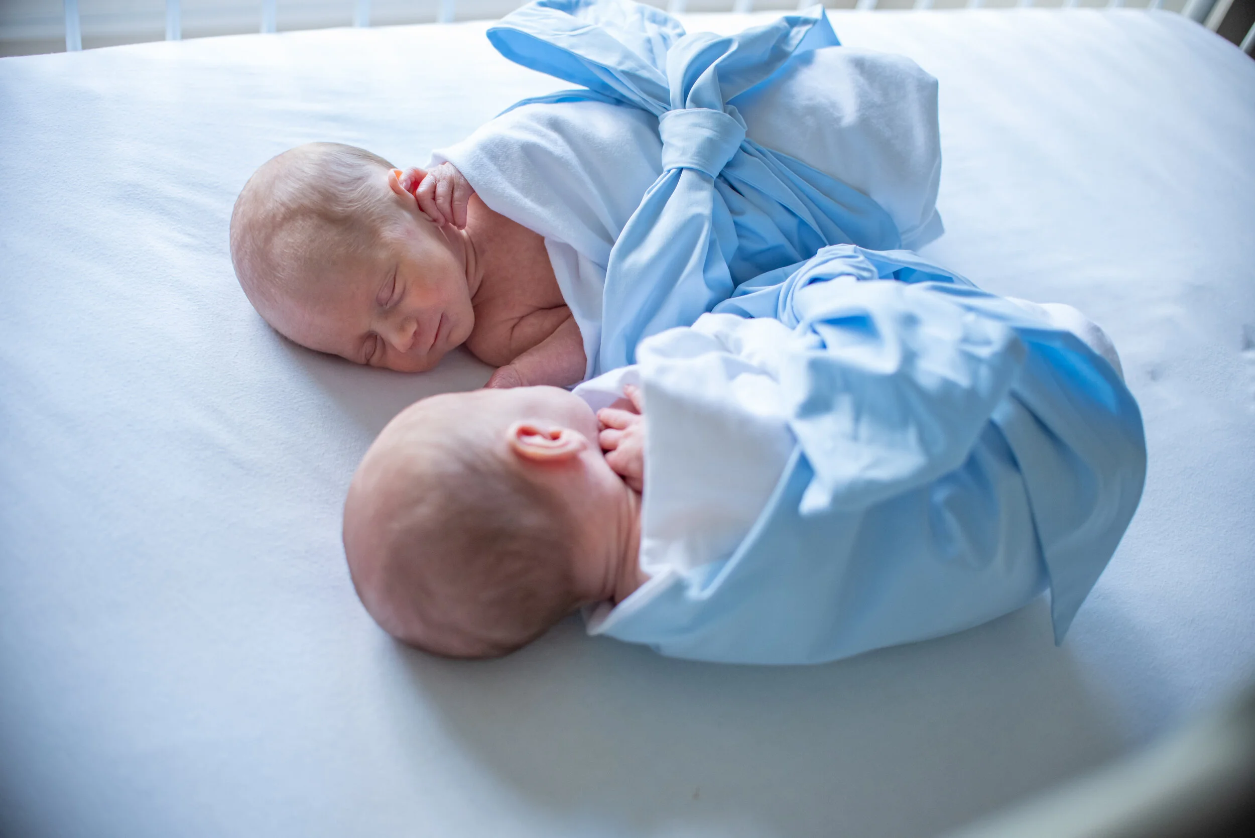 Pope Newborn-17.jpg