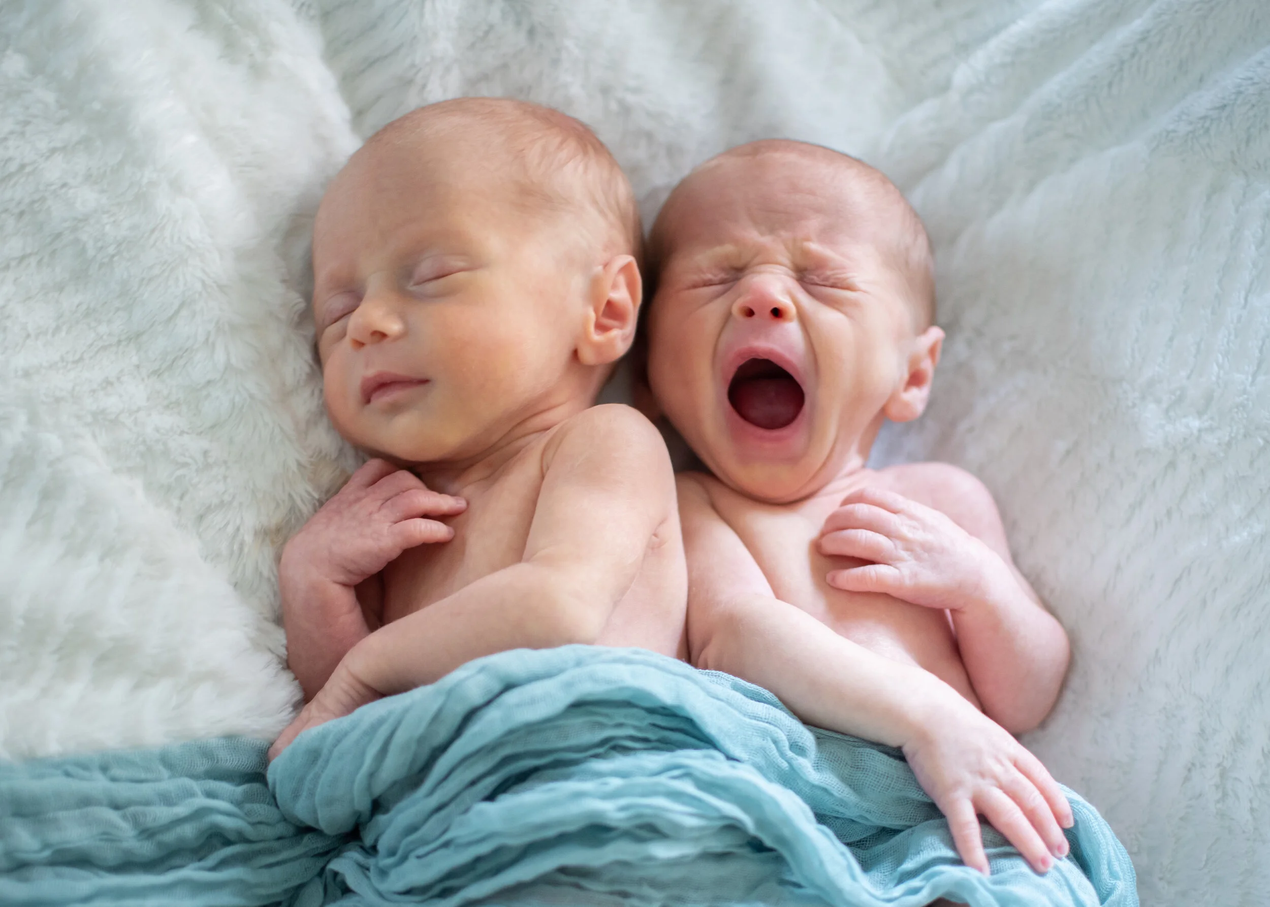 Pope Newborn-30.jpg