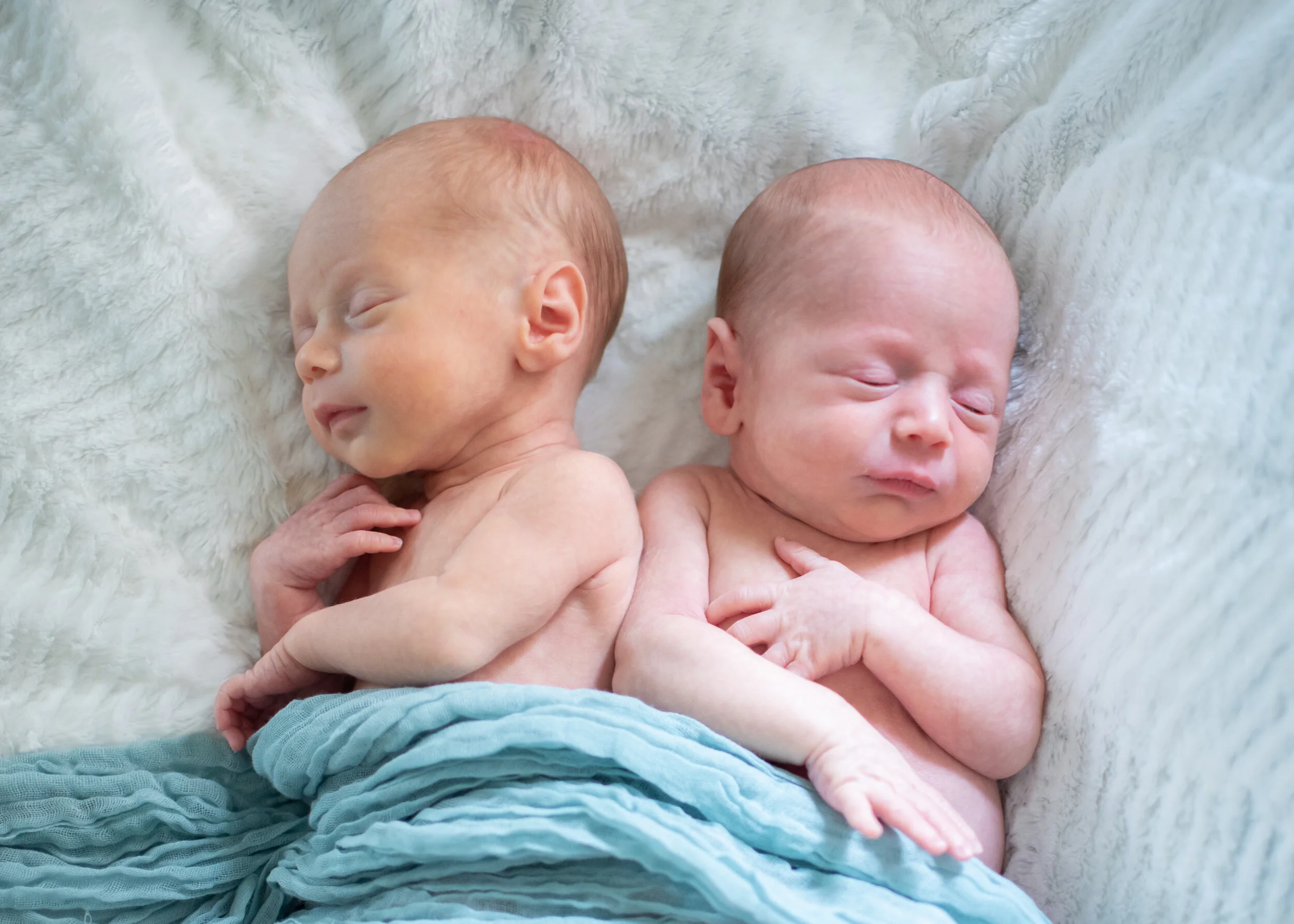 Pope Newborn-31.jpg