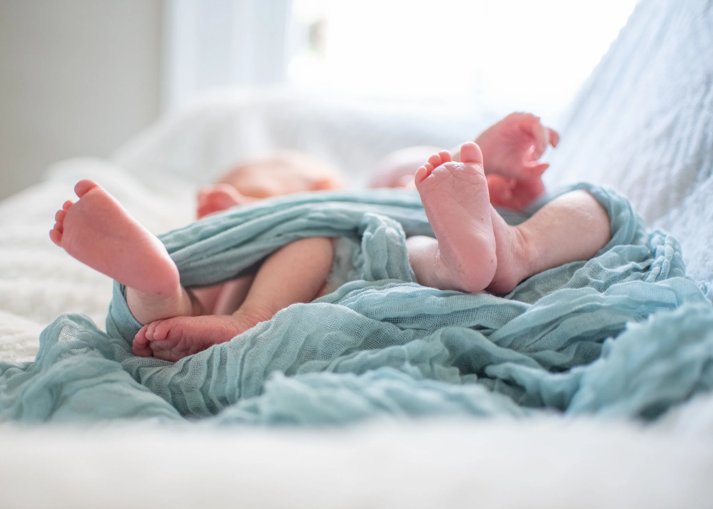 Pope Newborn-33.jpg