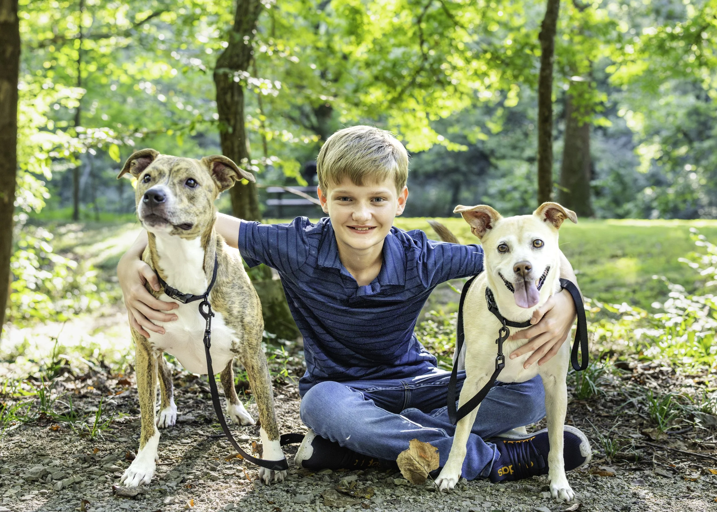 family photographer near me, fall family photo session