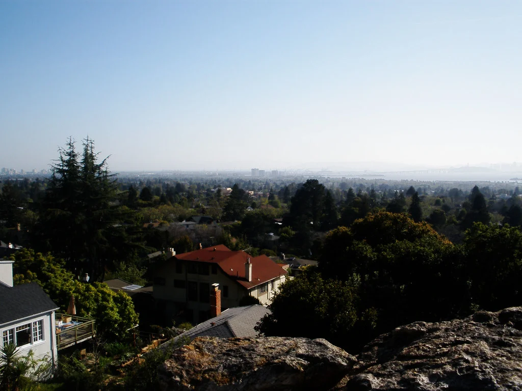 3411045284_ffc17449e1_b.jpg